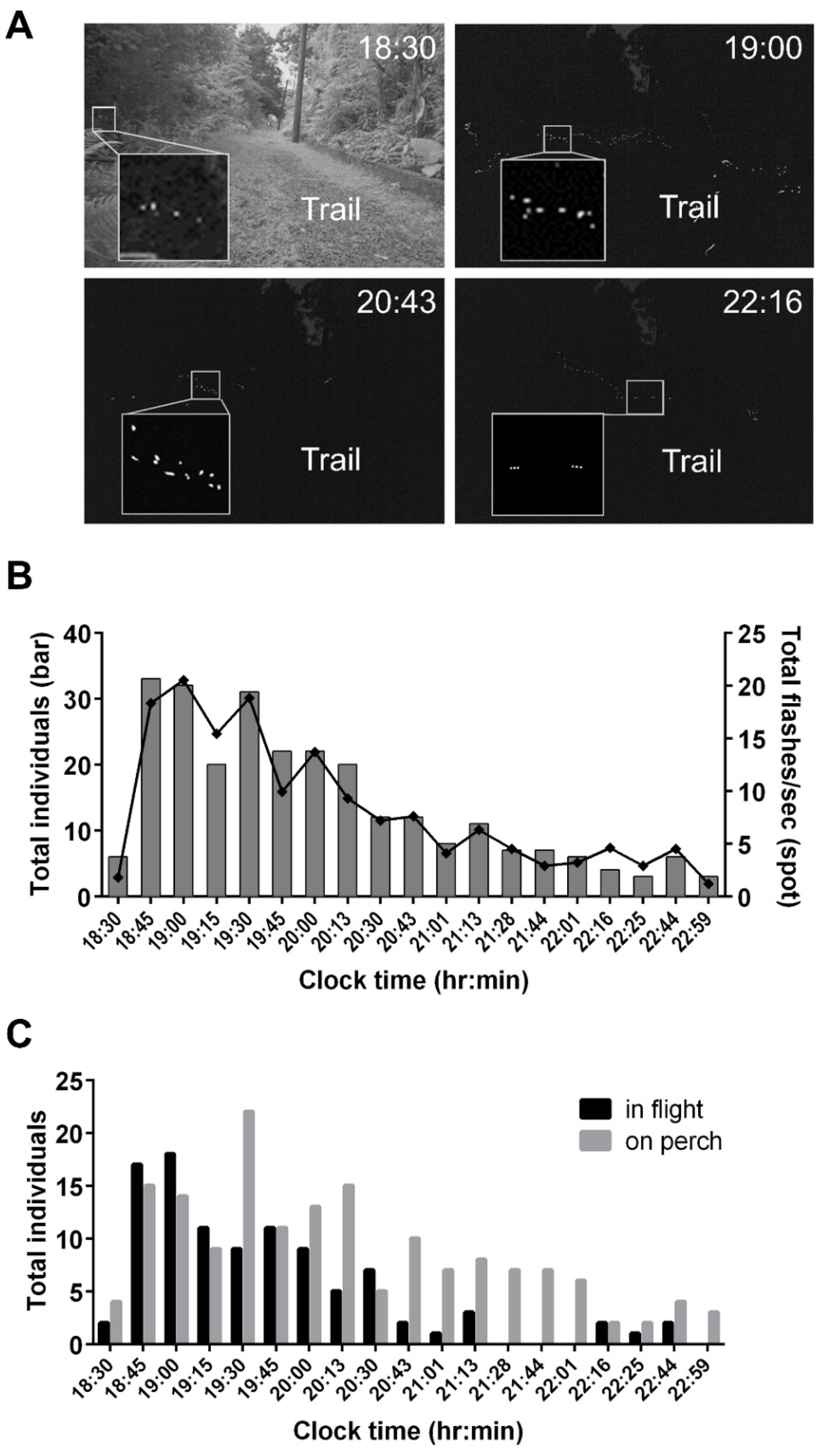 Biology 11 00058 g004