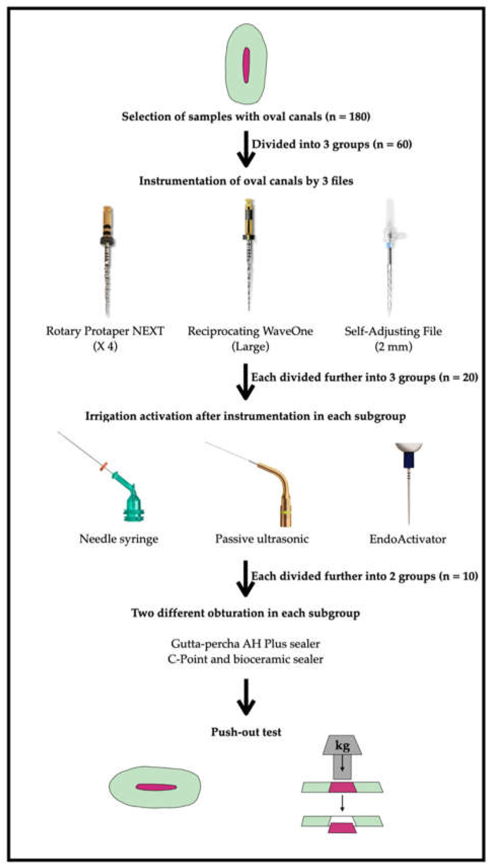 Biology 11 00059 g001