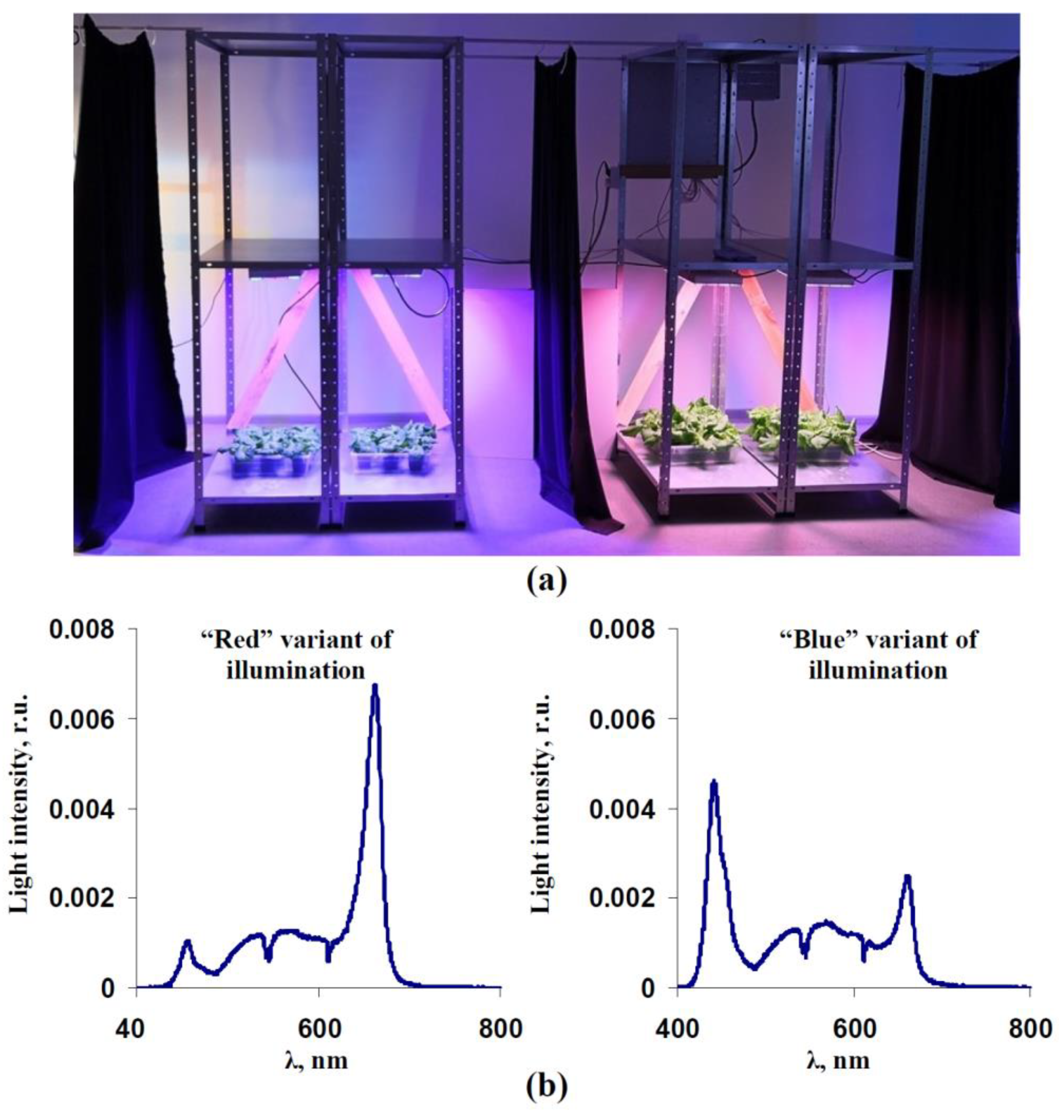 Biology 11 00060 g001