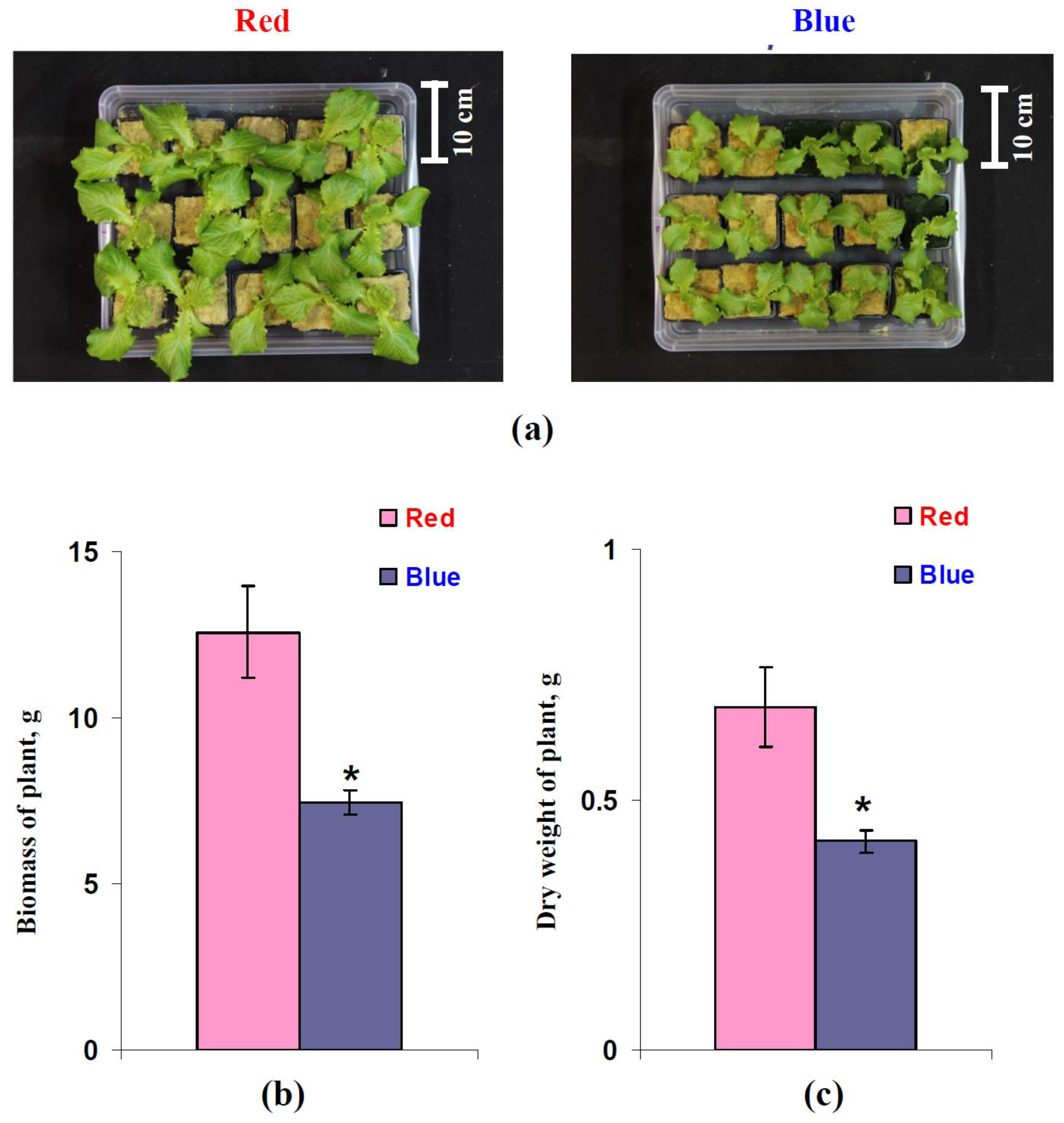 Biology 11 00060 g010