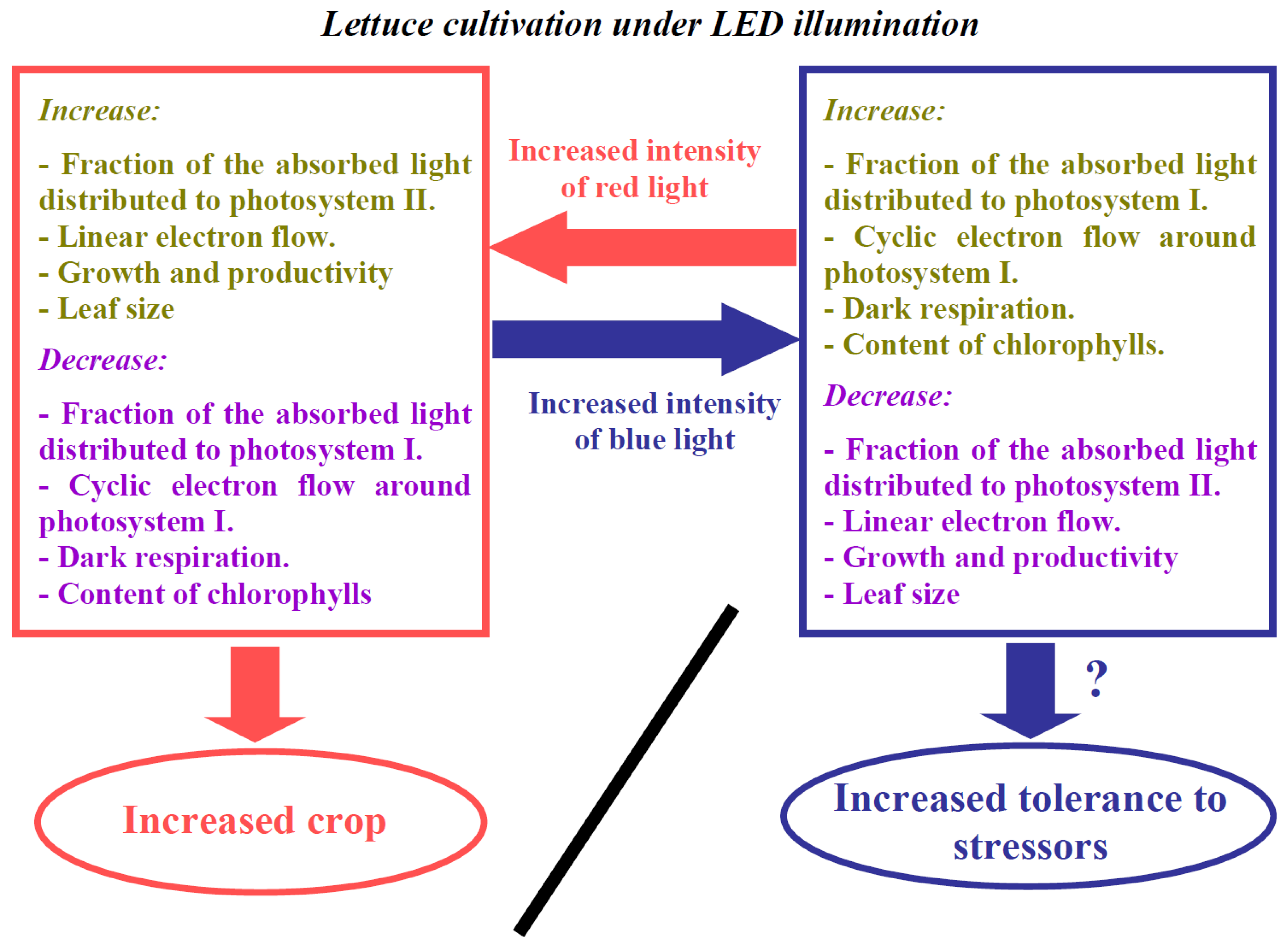 Biology 11 00060 g011
