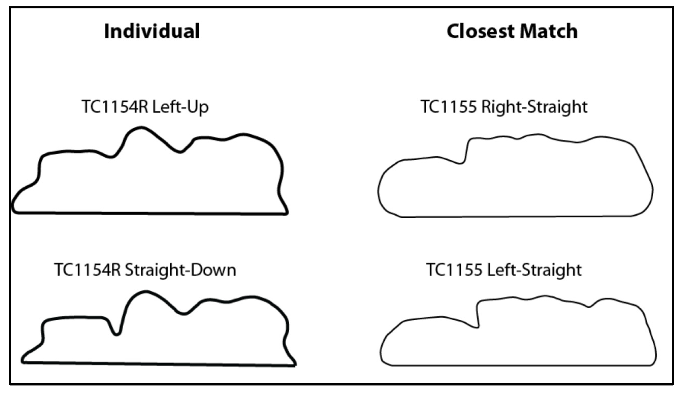 Biology 11 00062 g007 Biology 11 00062 g007