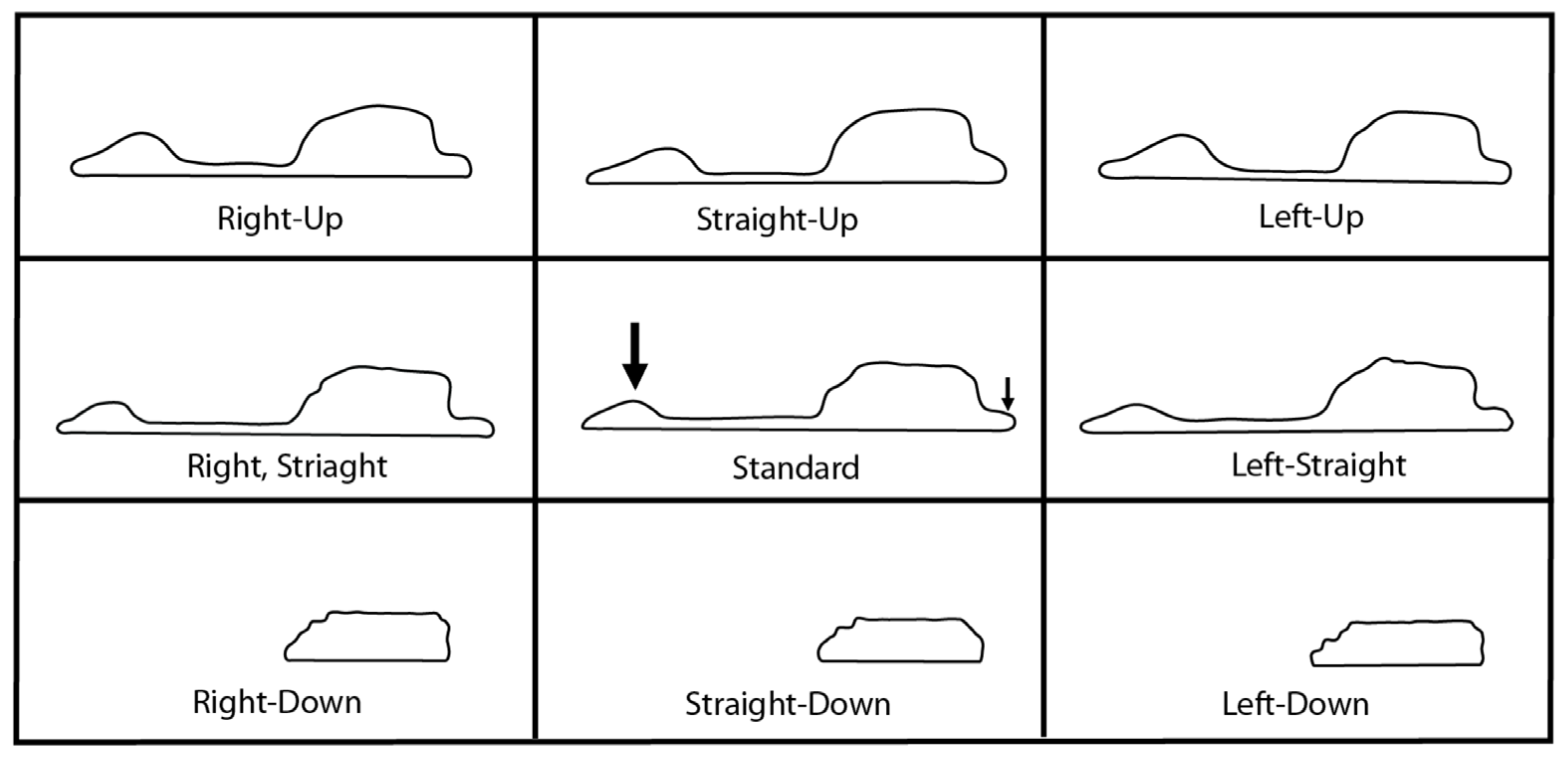 Biology 11 00062 g008 Biology 11 00062 g008
