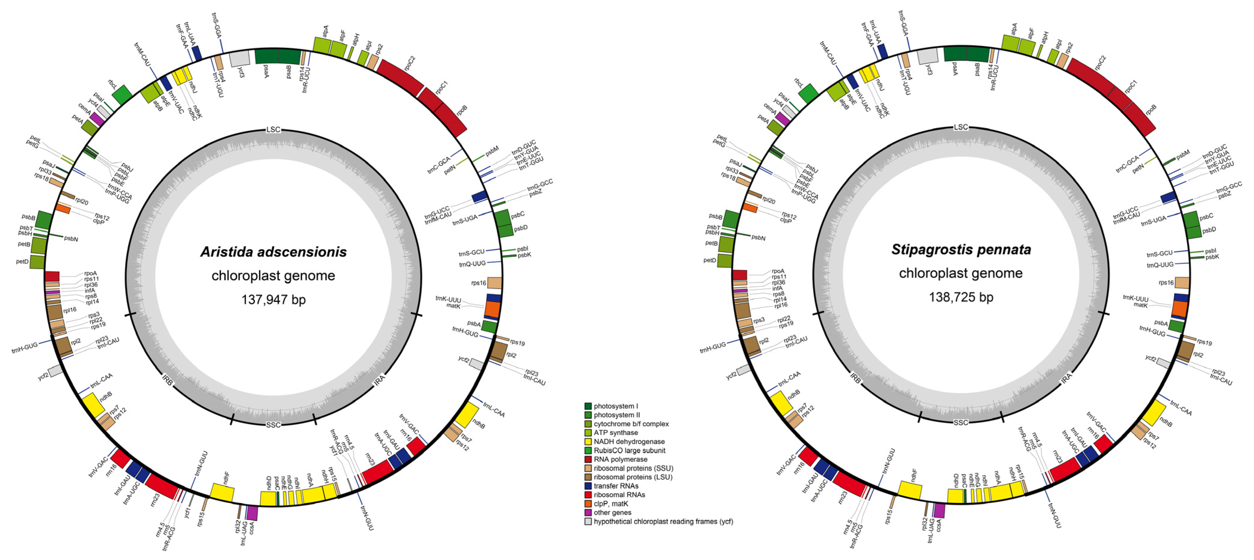 Biology 11 00063 g001 Biology 11 00063 g001