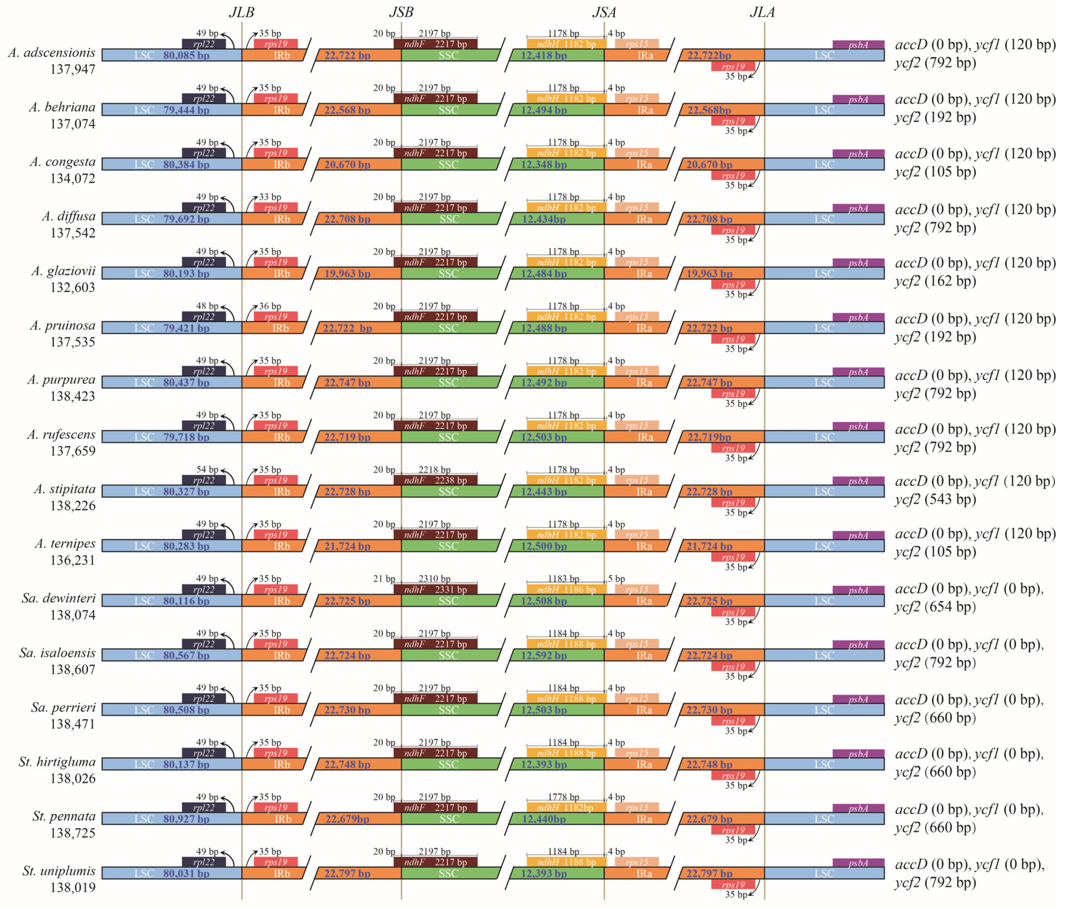 Biology 11 00063 g004 Biology 11 00063 g004