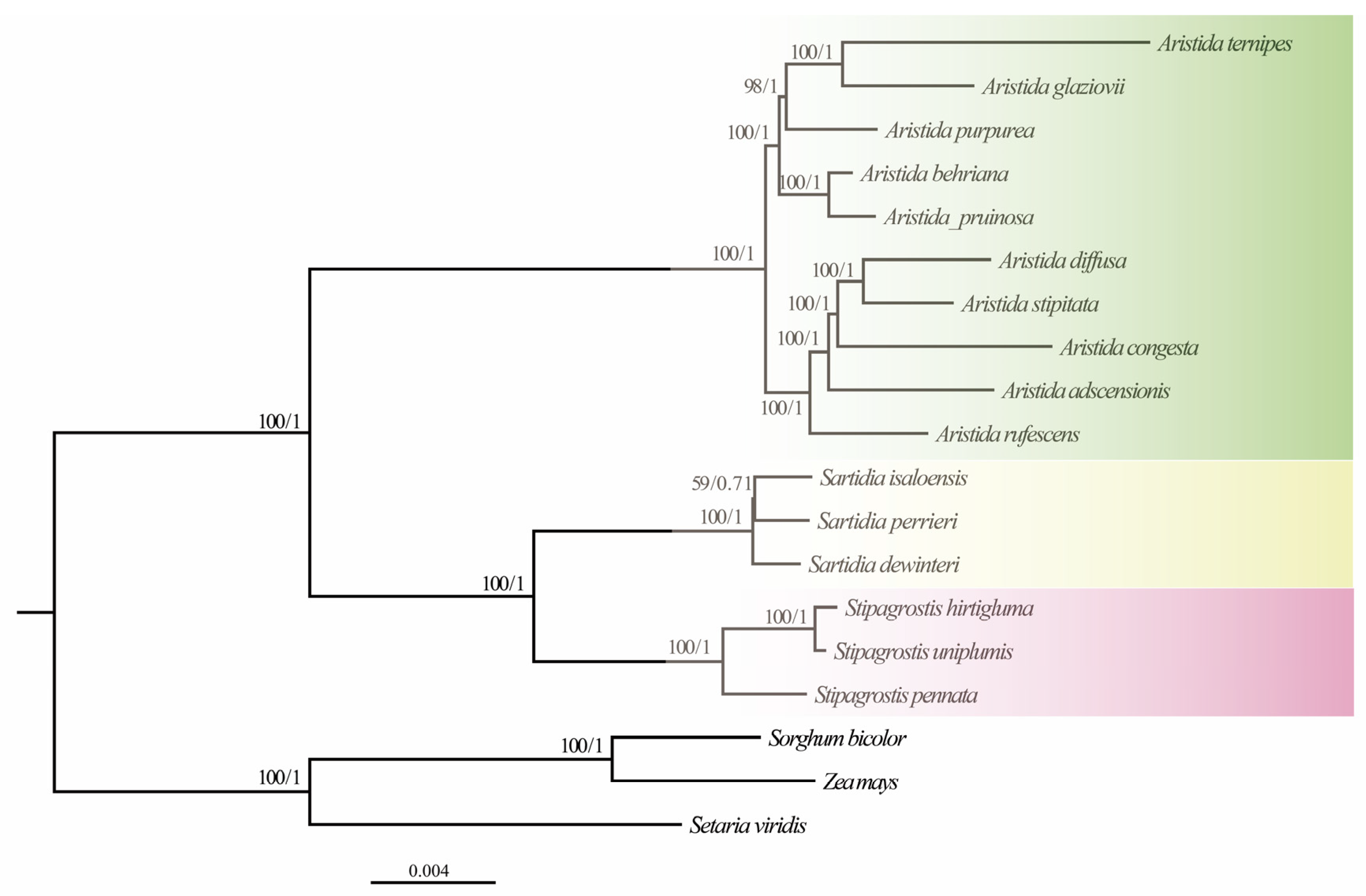 Biology 11 00063 g007 Biology 11 00063 g007