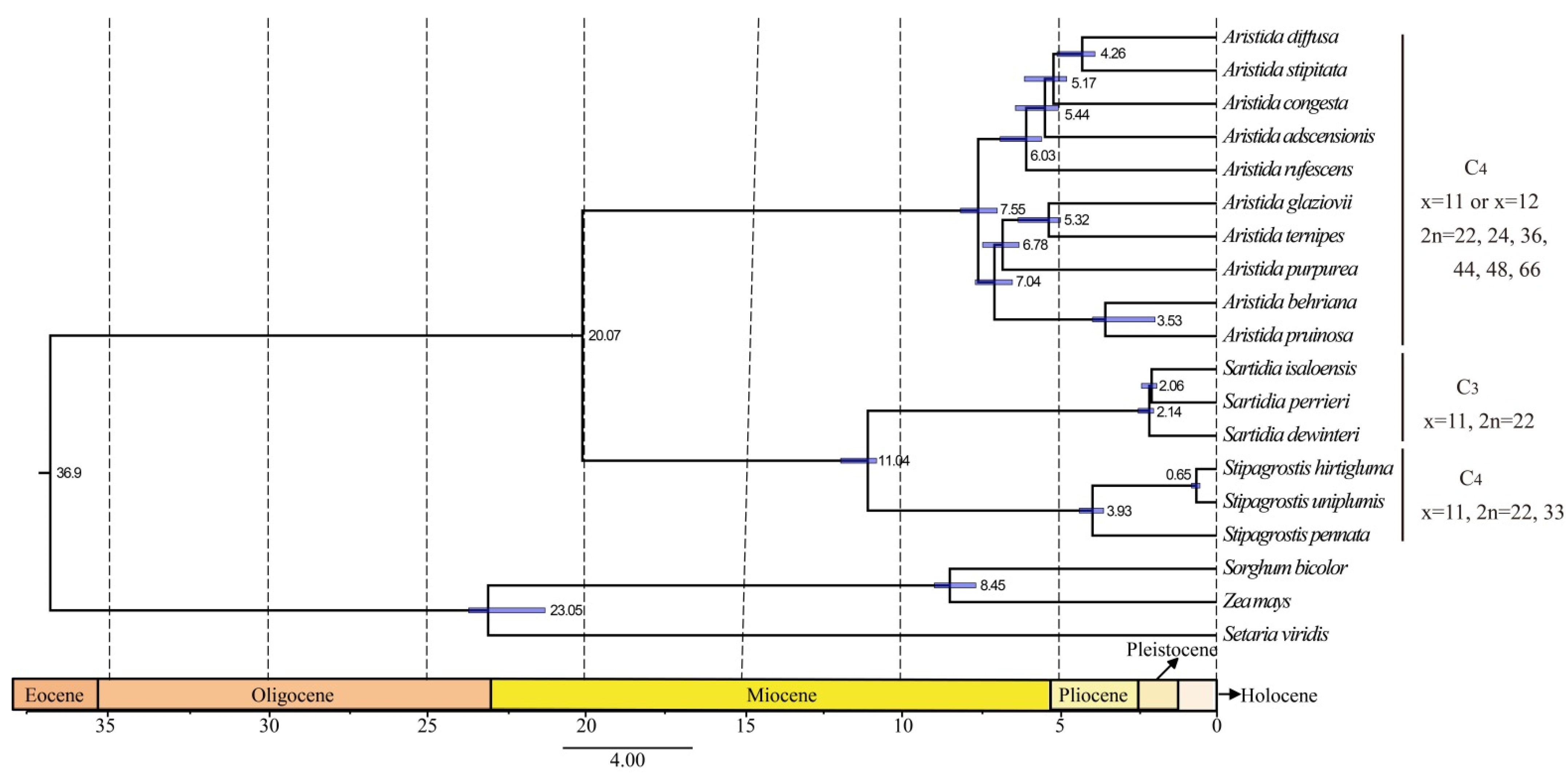 Biology 11 00063 g008 Biology 11 00063 g008