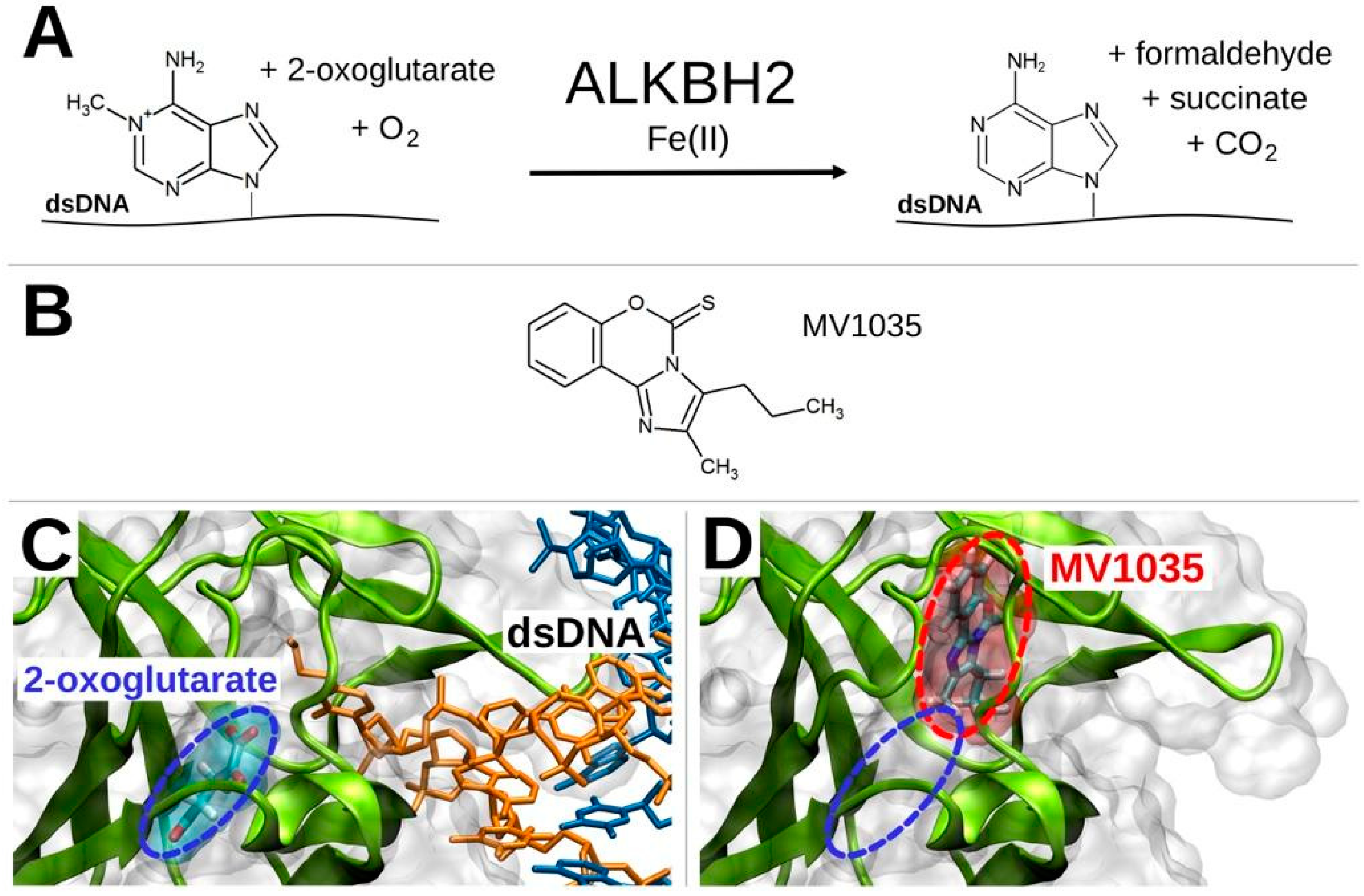 Biology 11 00070 g002 Biology 11 00070 g002