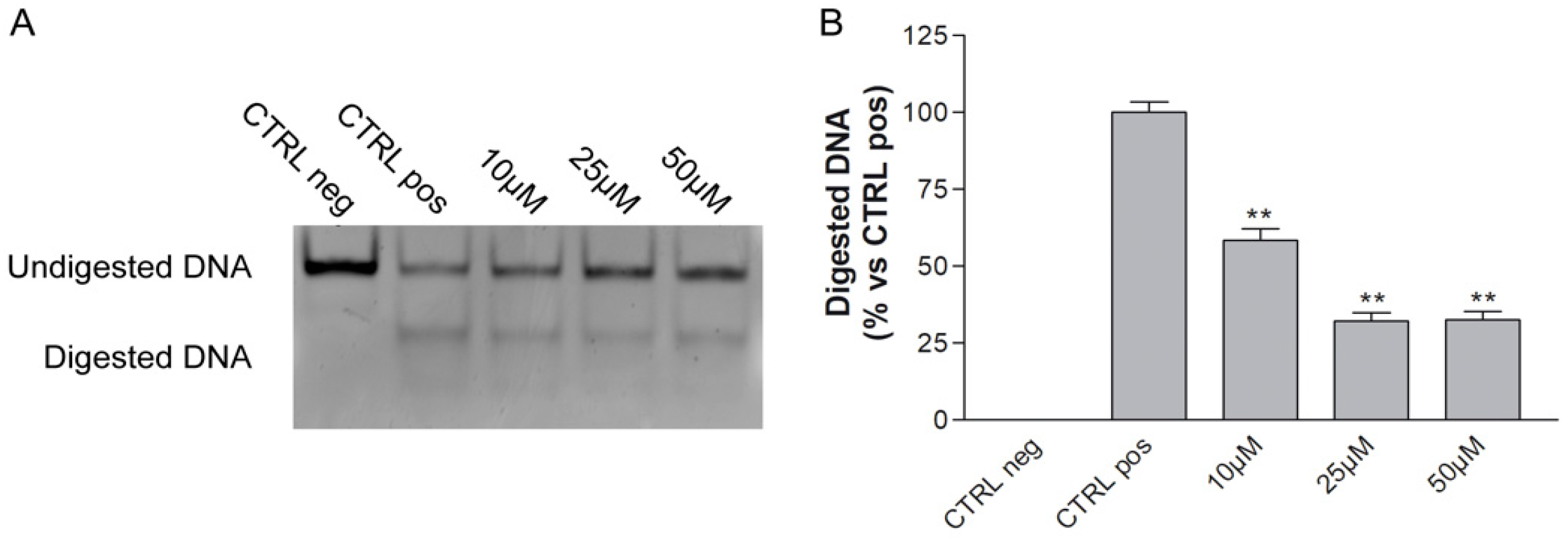Biology 11 00070 g003 Biology 11 00070 g003
