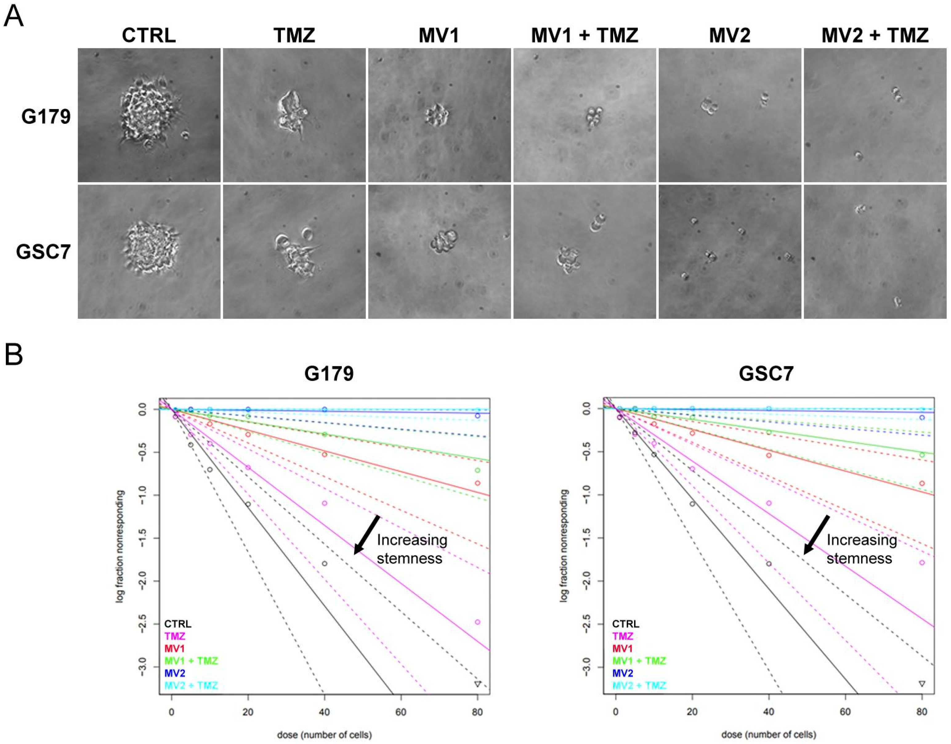 Biology 11 00070 g005 Biology 11 00070 g005