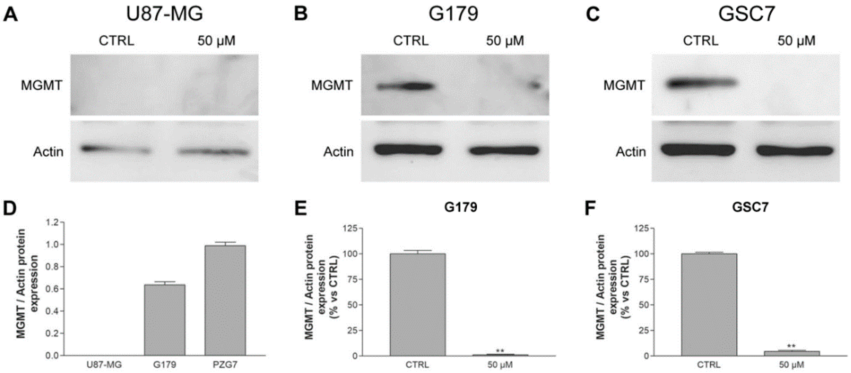 Biology 11 00070 g006 Biology 11 00070 g006