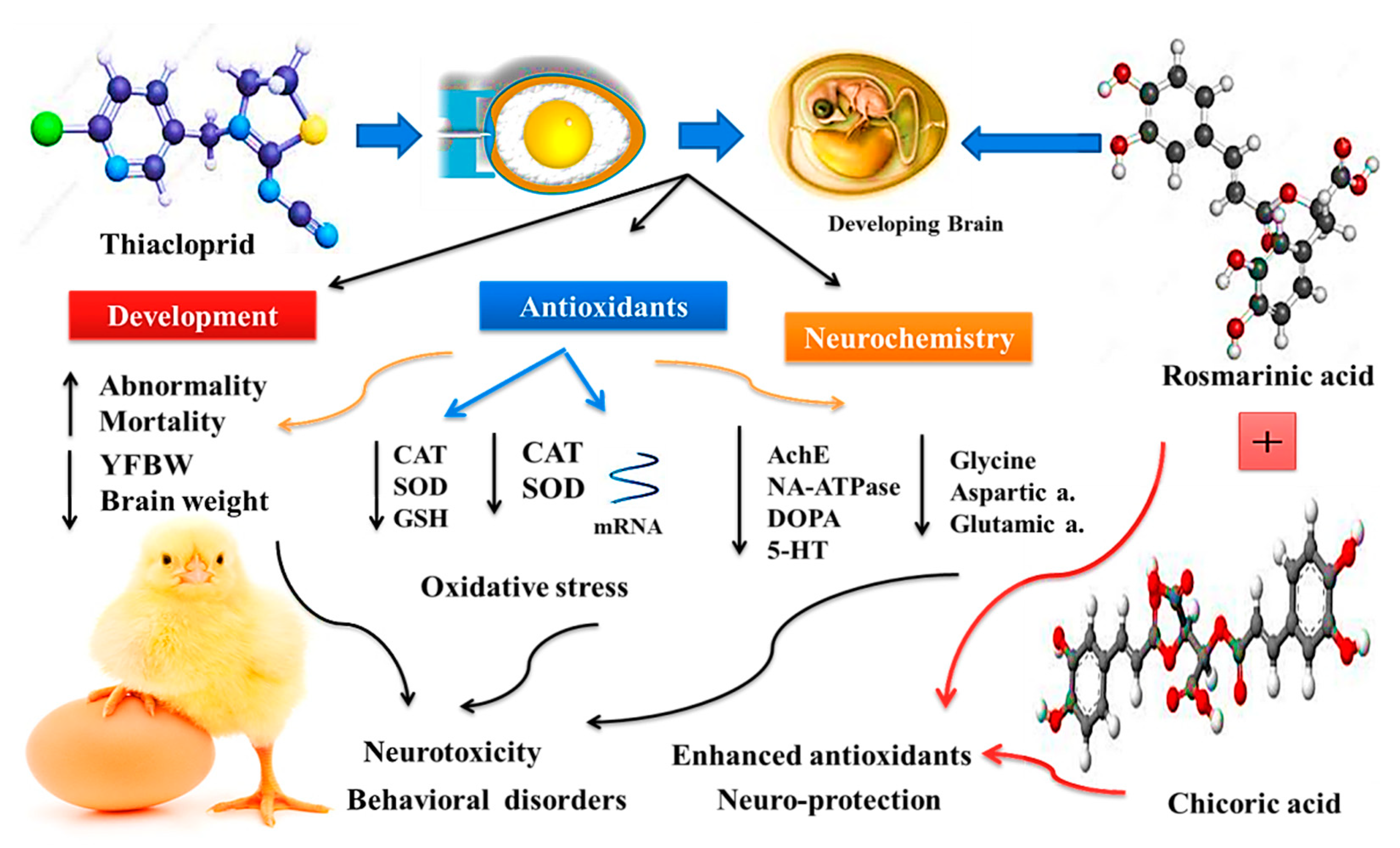 Biology 11 00073 g004