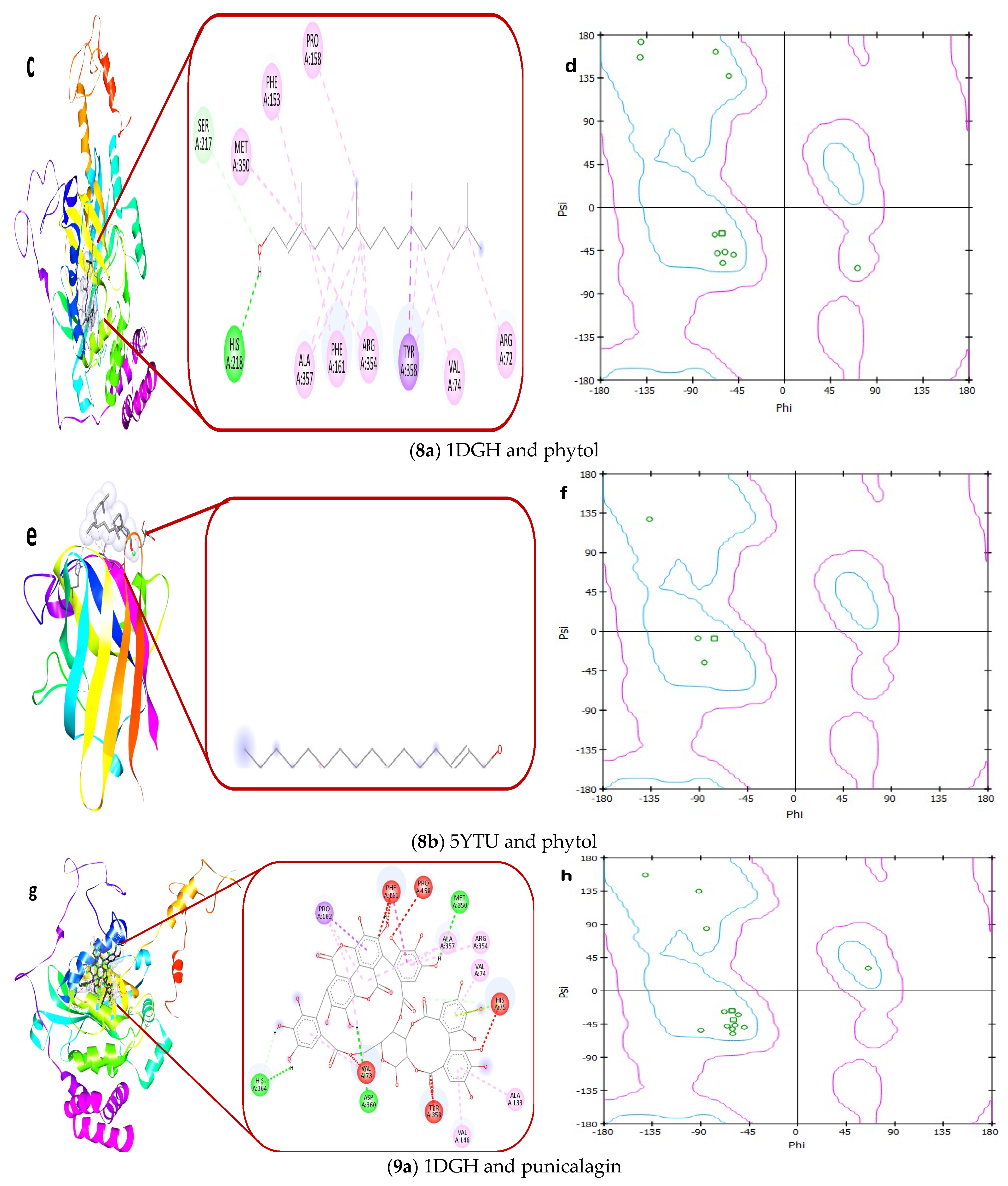 Biology 11 00078 g012e