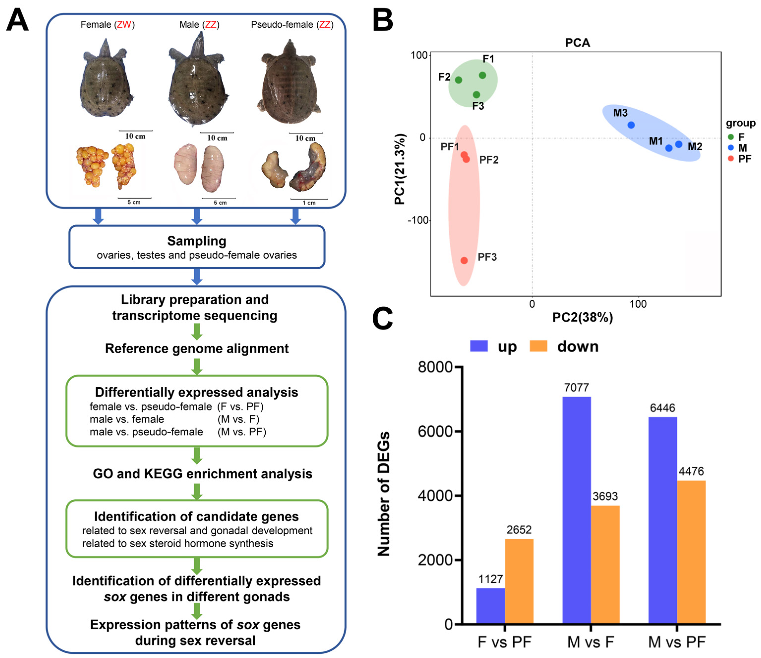 Biology 11 00083 g001