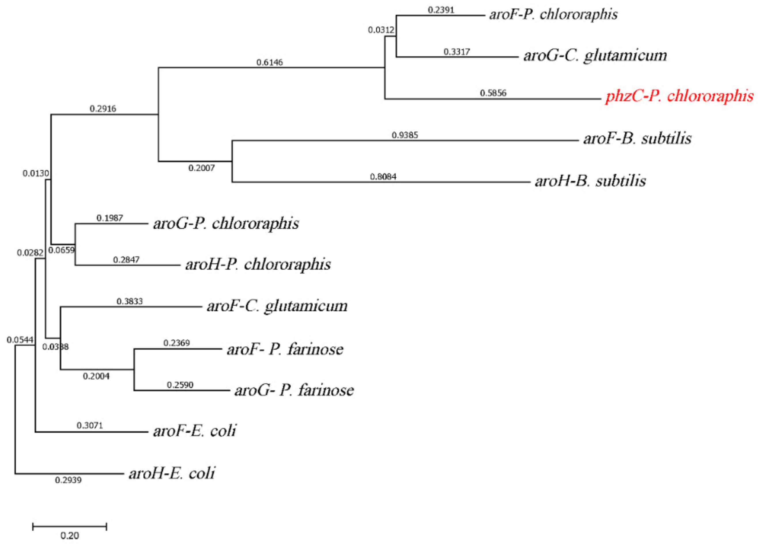 Biology 11 00086 g002 Biology 11 00086 g002
