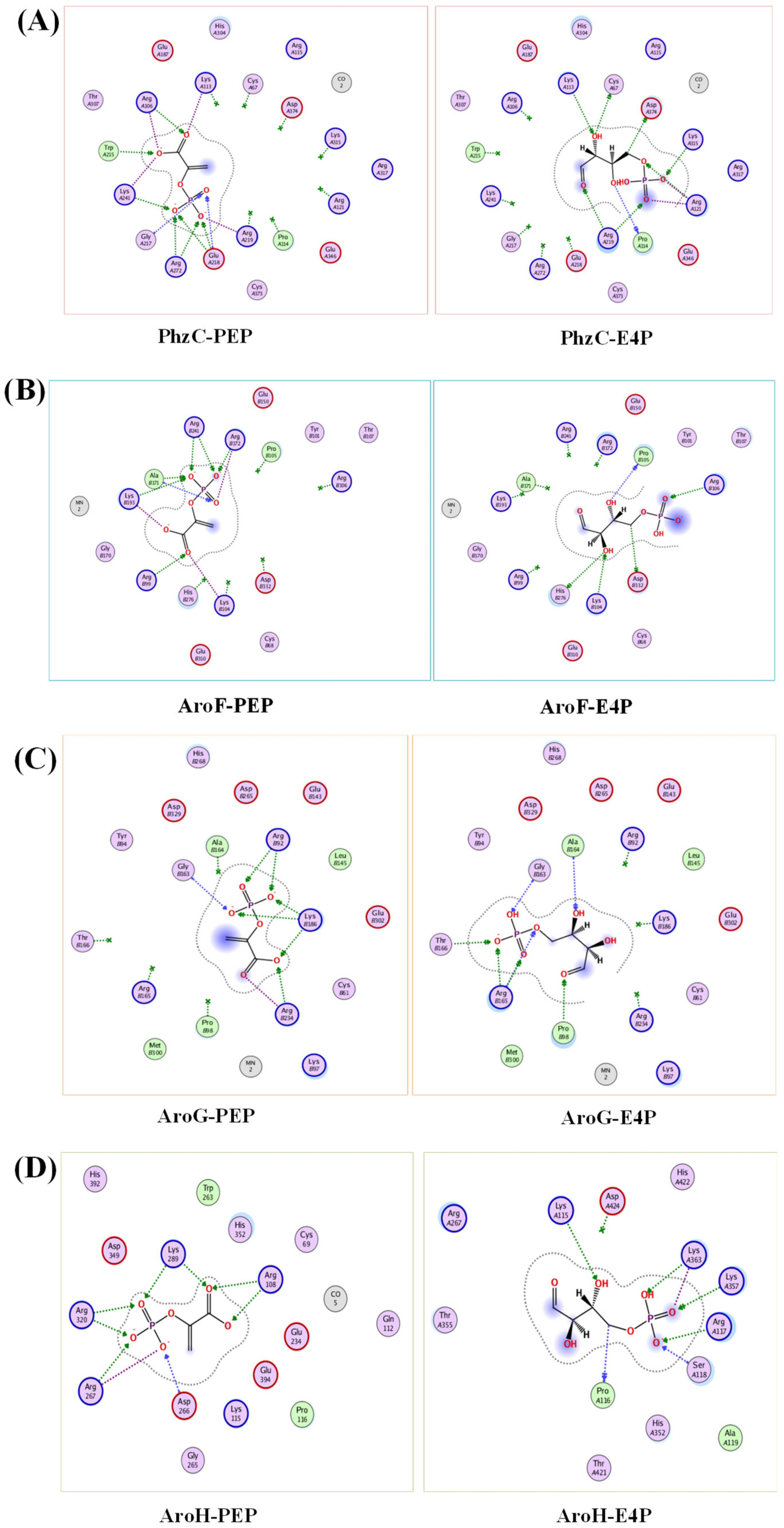 Biology 11 00086 g009 Biology 11 00086 g009