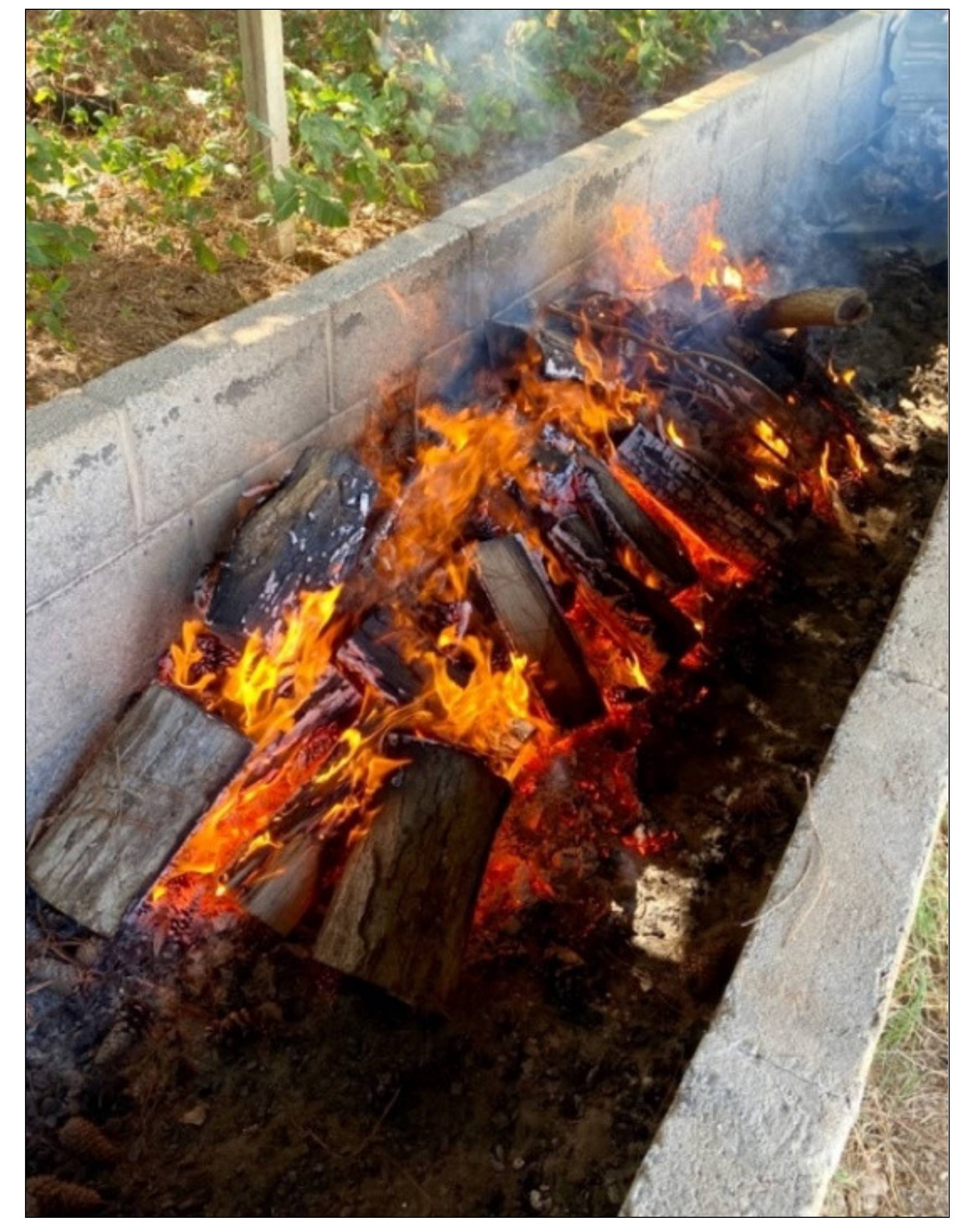 Biology 11 00087 g002 Biology 11 00087 g002