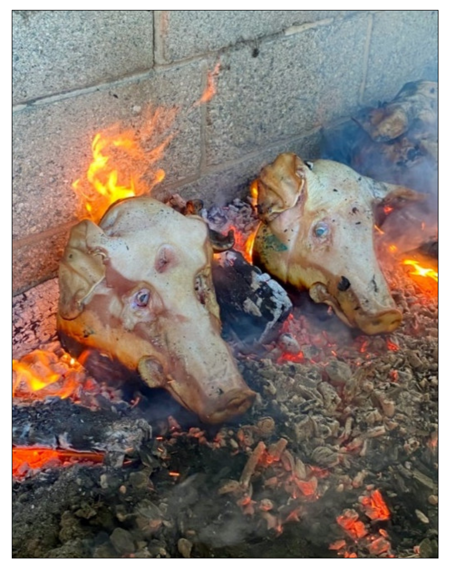 Biology 11 00087 g003 Biology 11 00087 g003