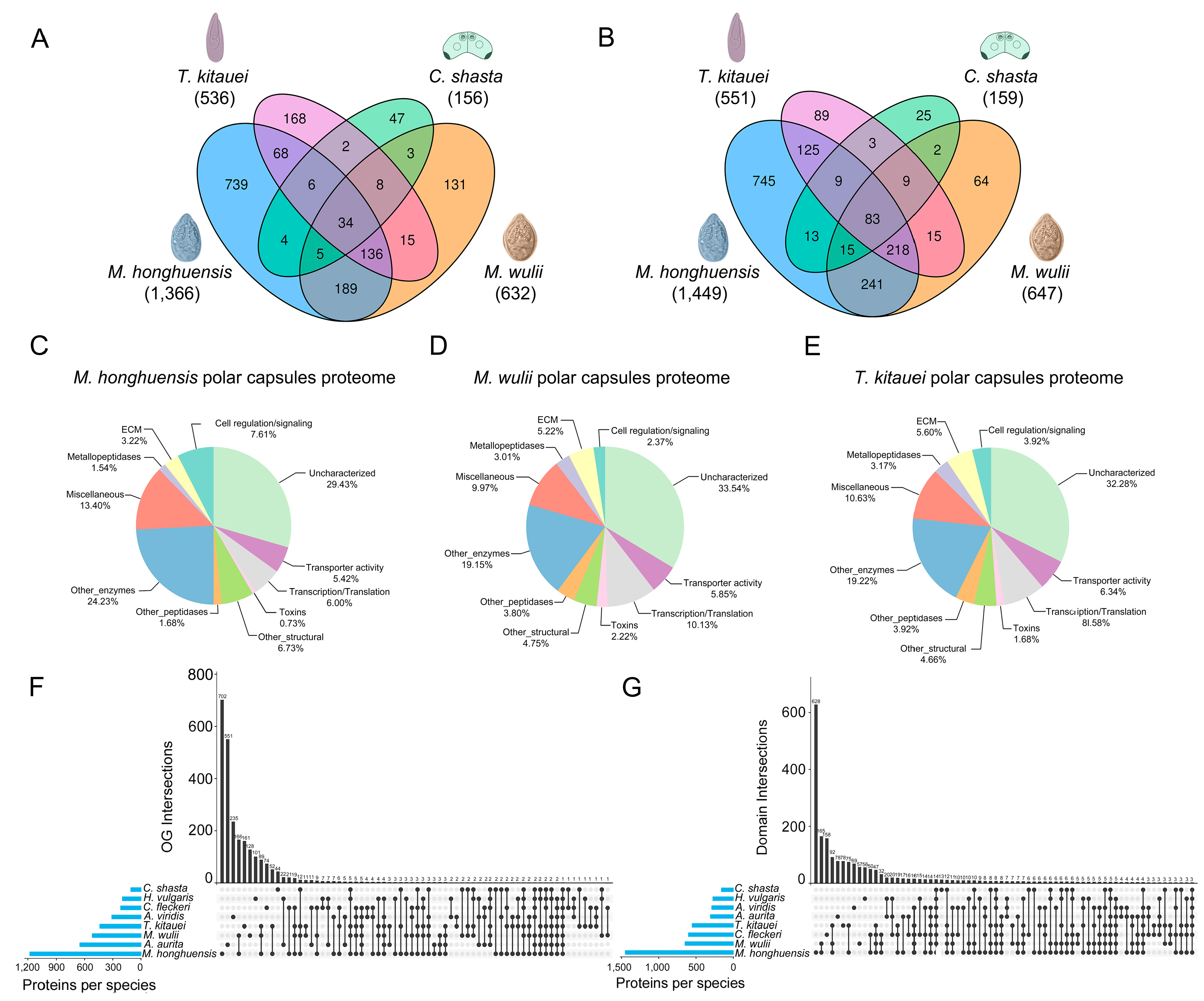 Biology 11 00091 g002 550