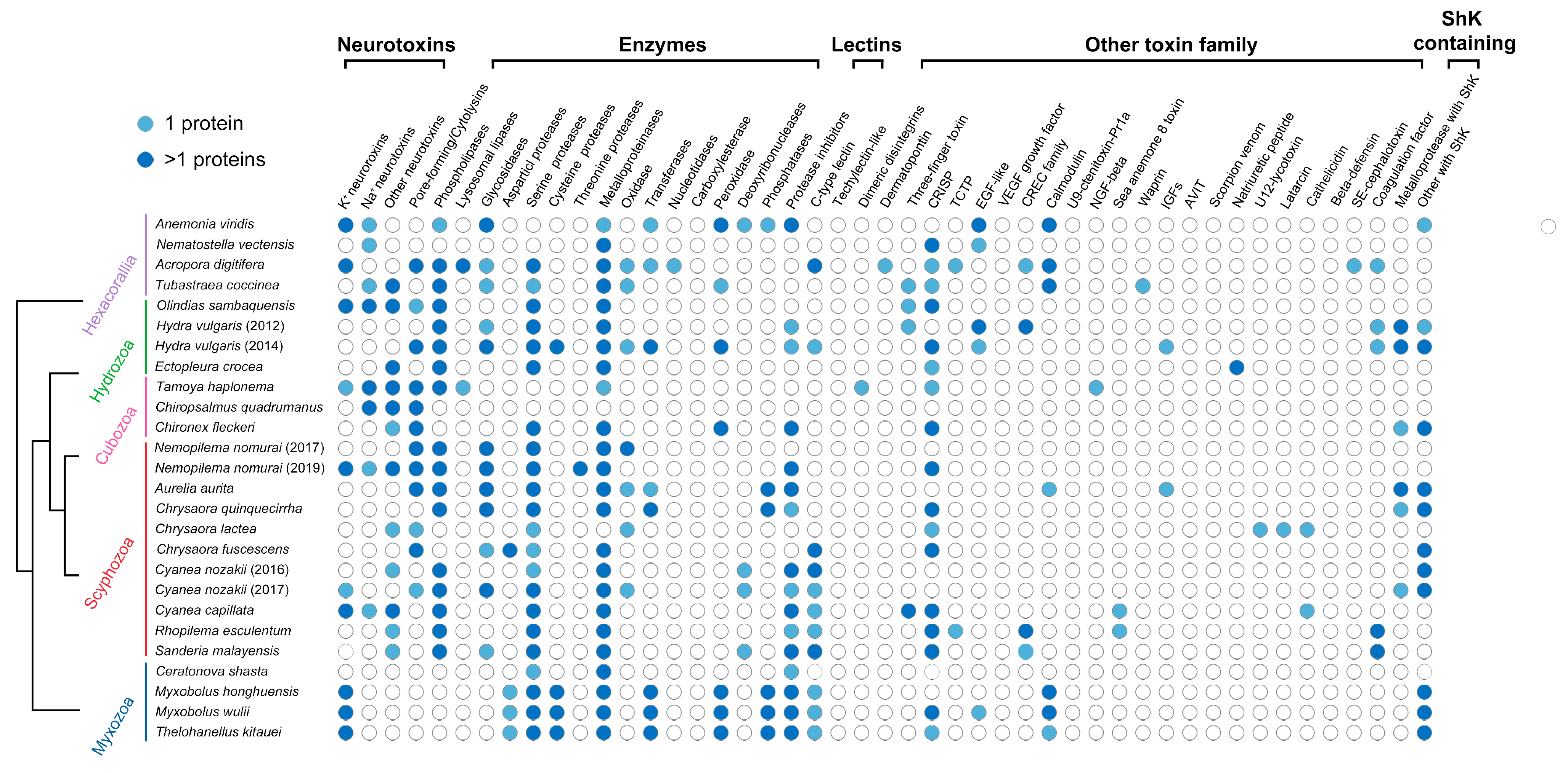 Biology 11 00091 g004 550