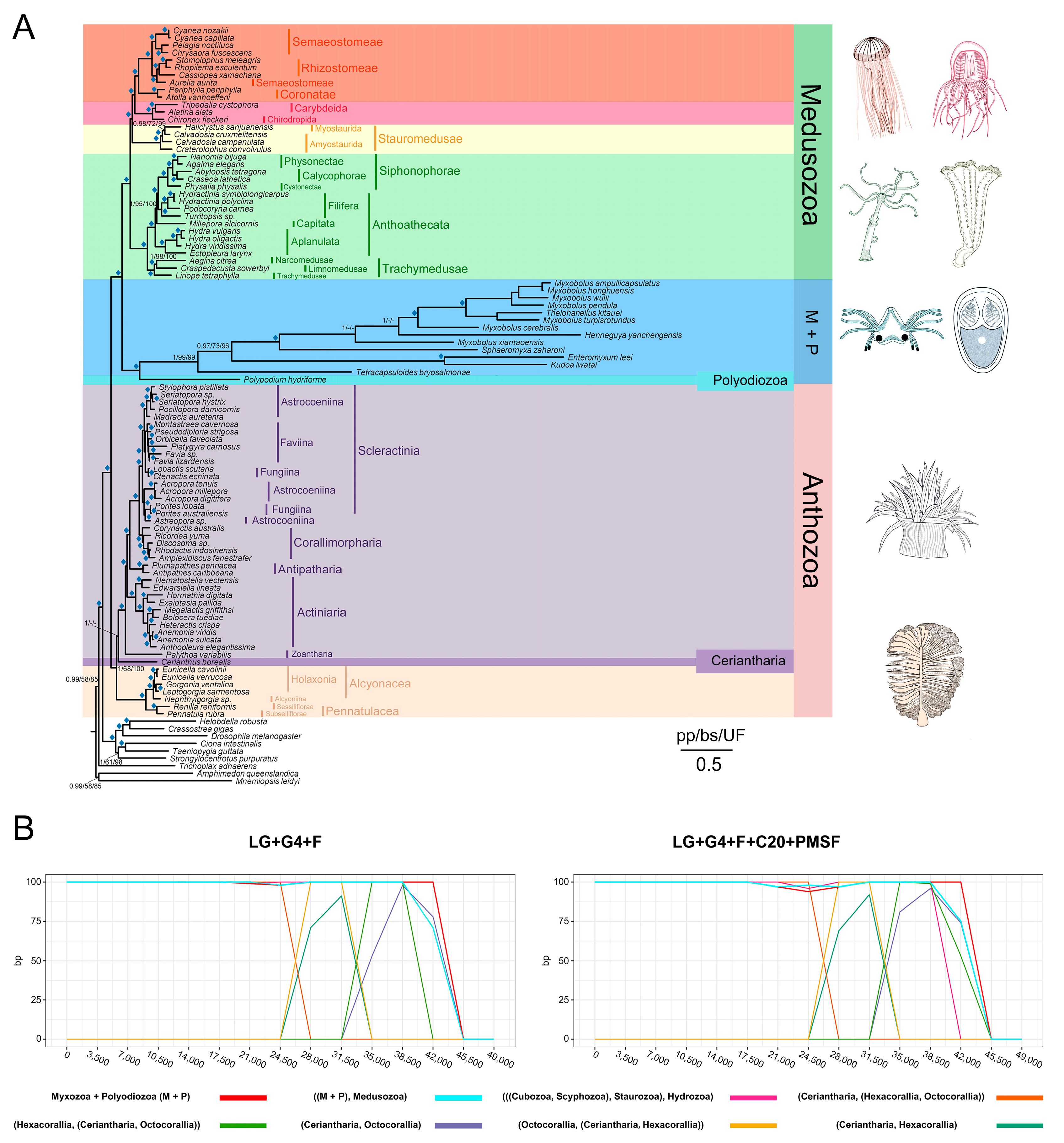 Biology 11 00091 g005 550