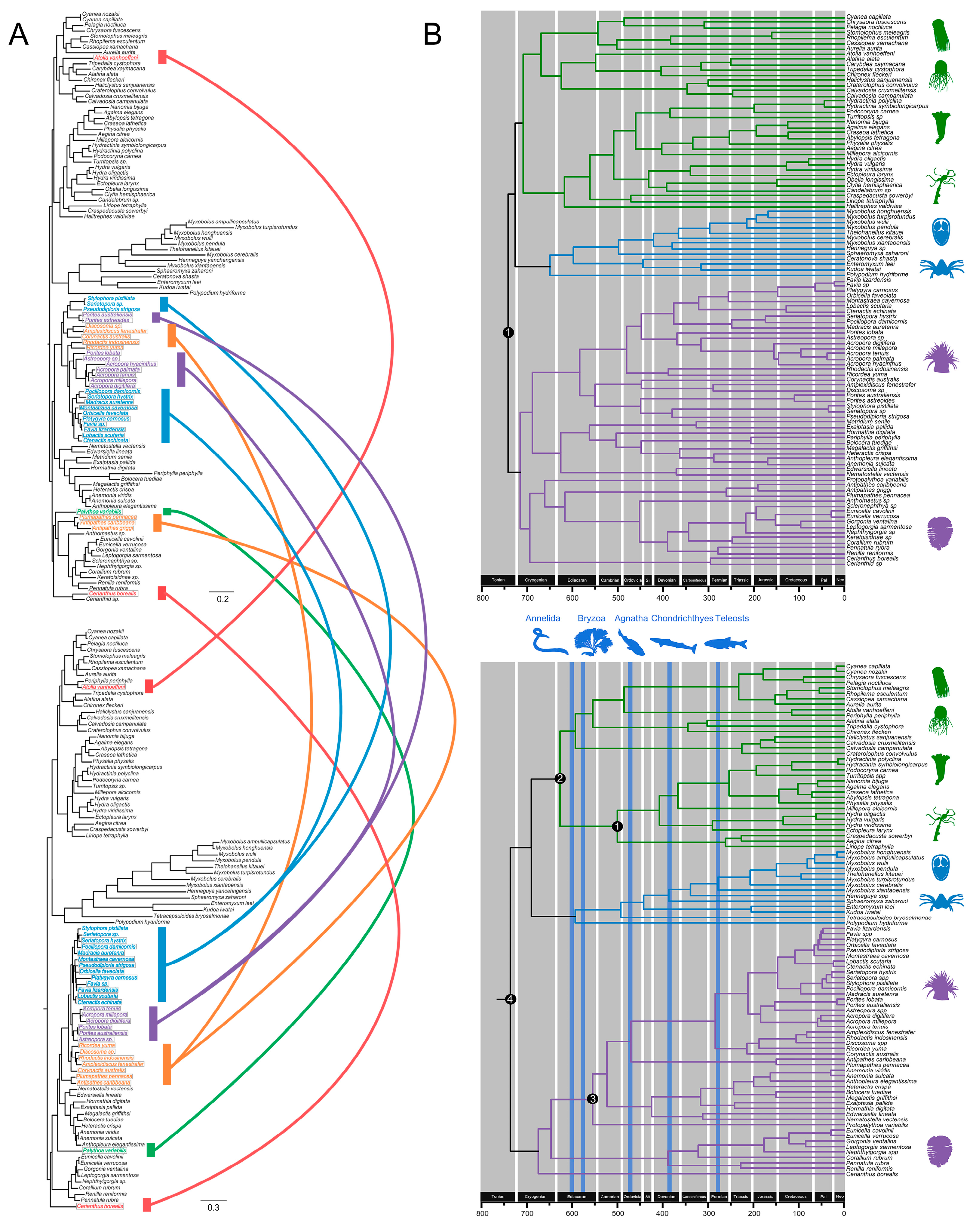 Biology 11 00091 g006 550