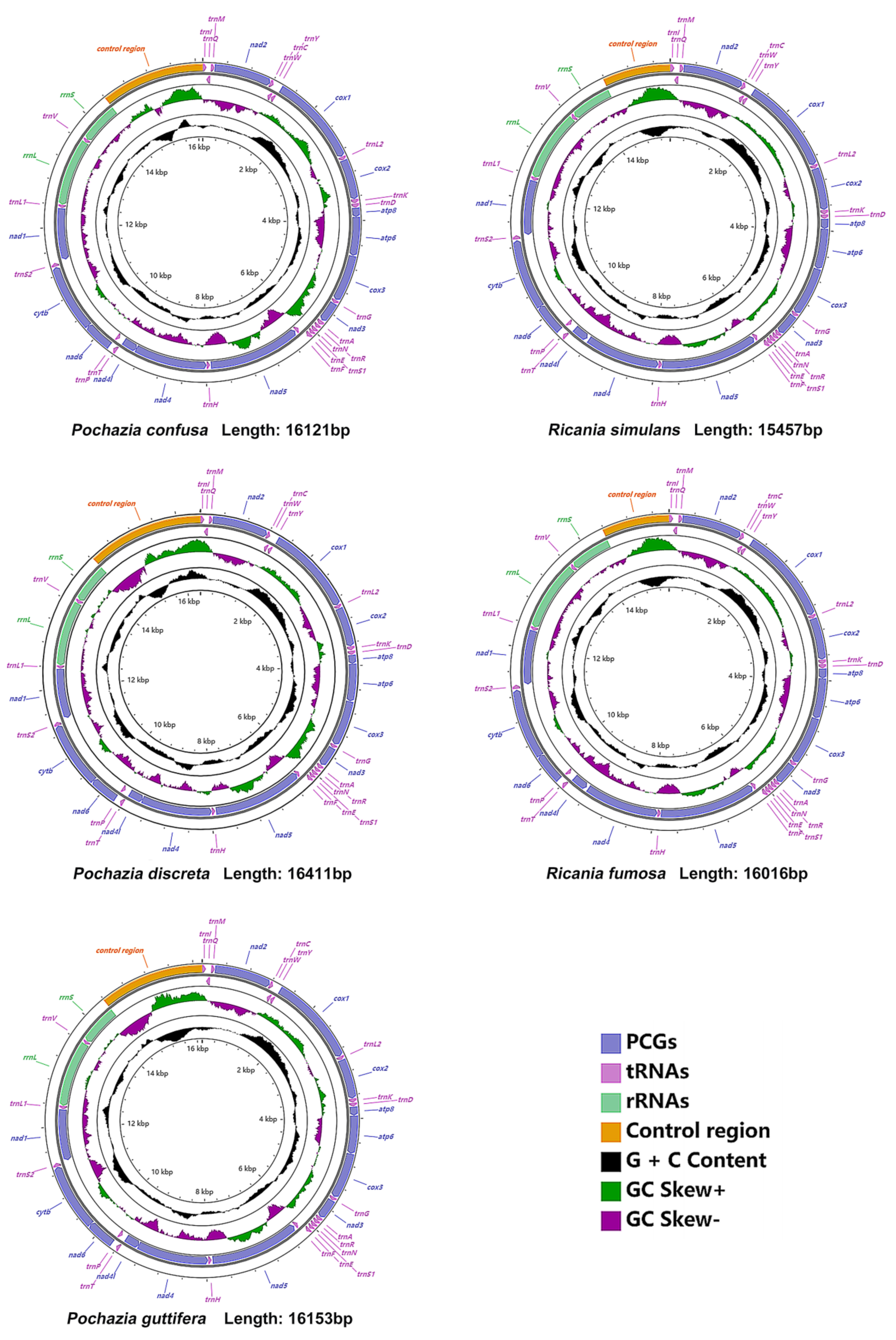 Biology 11 00092 g002 Biology 11 00092 g002