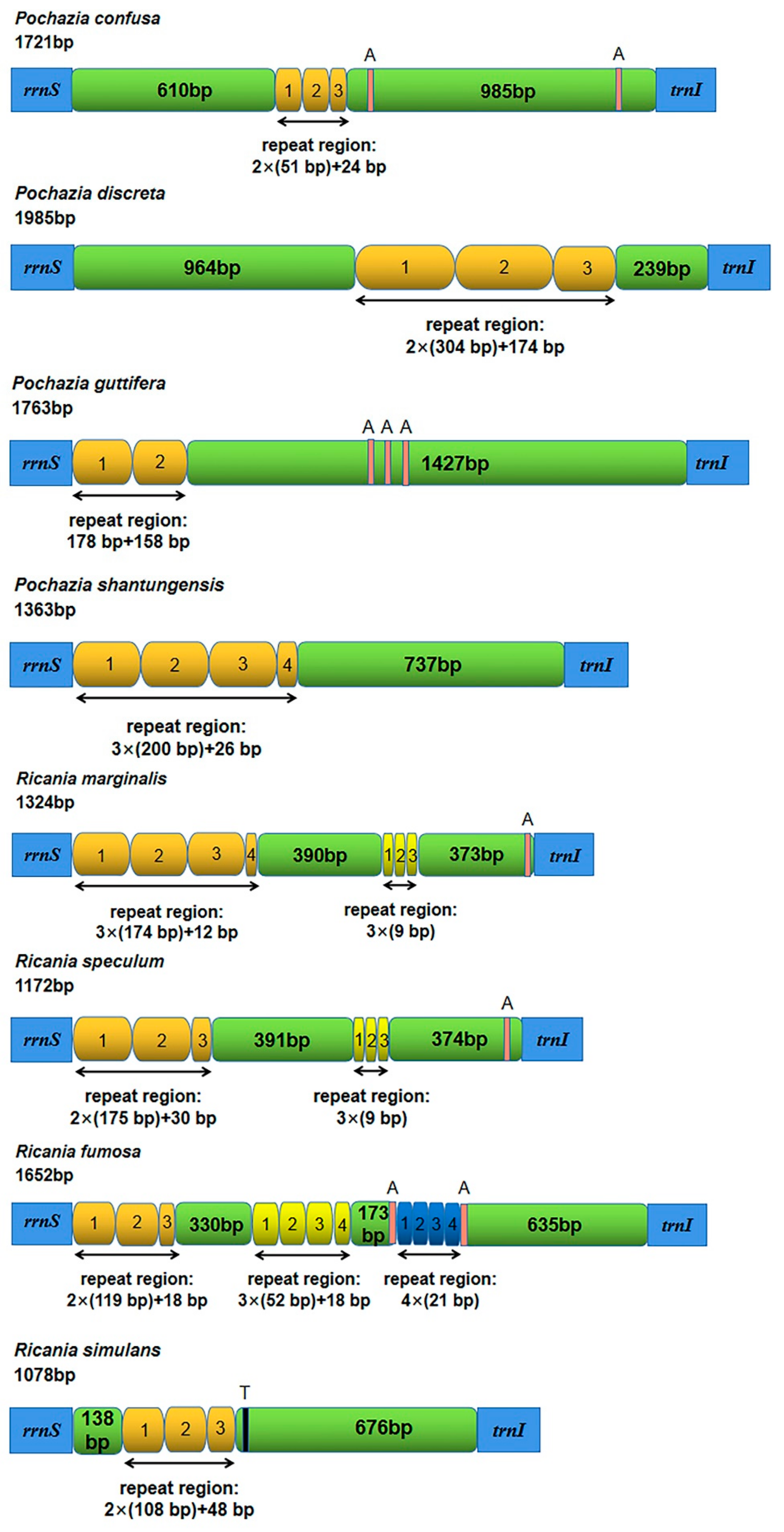Biology 11 00092 g004 Biology 11 00092 g004