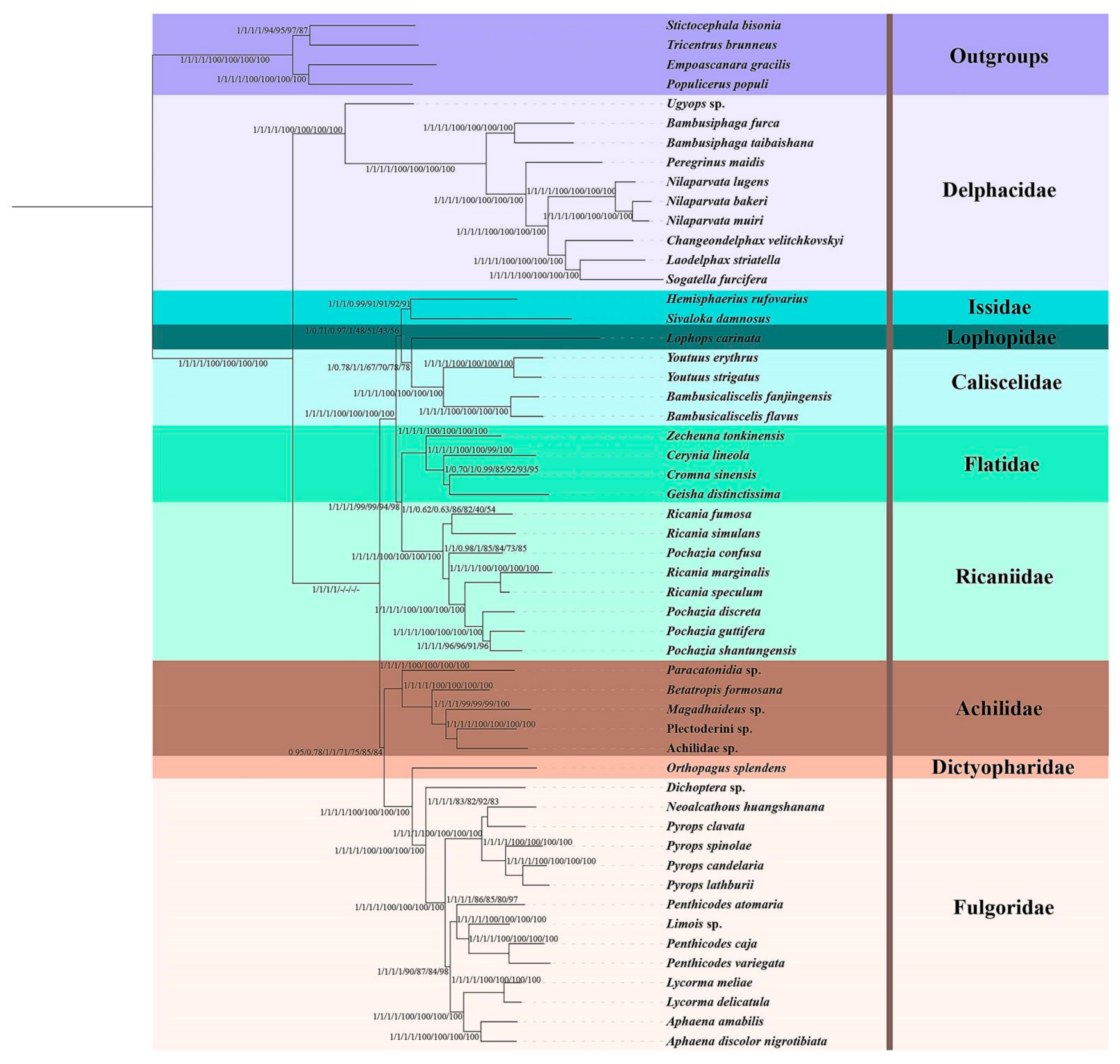 Biology 11 00092 g008 Biology 11 00092 g008