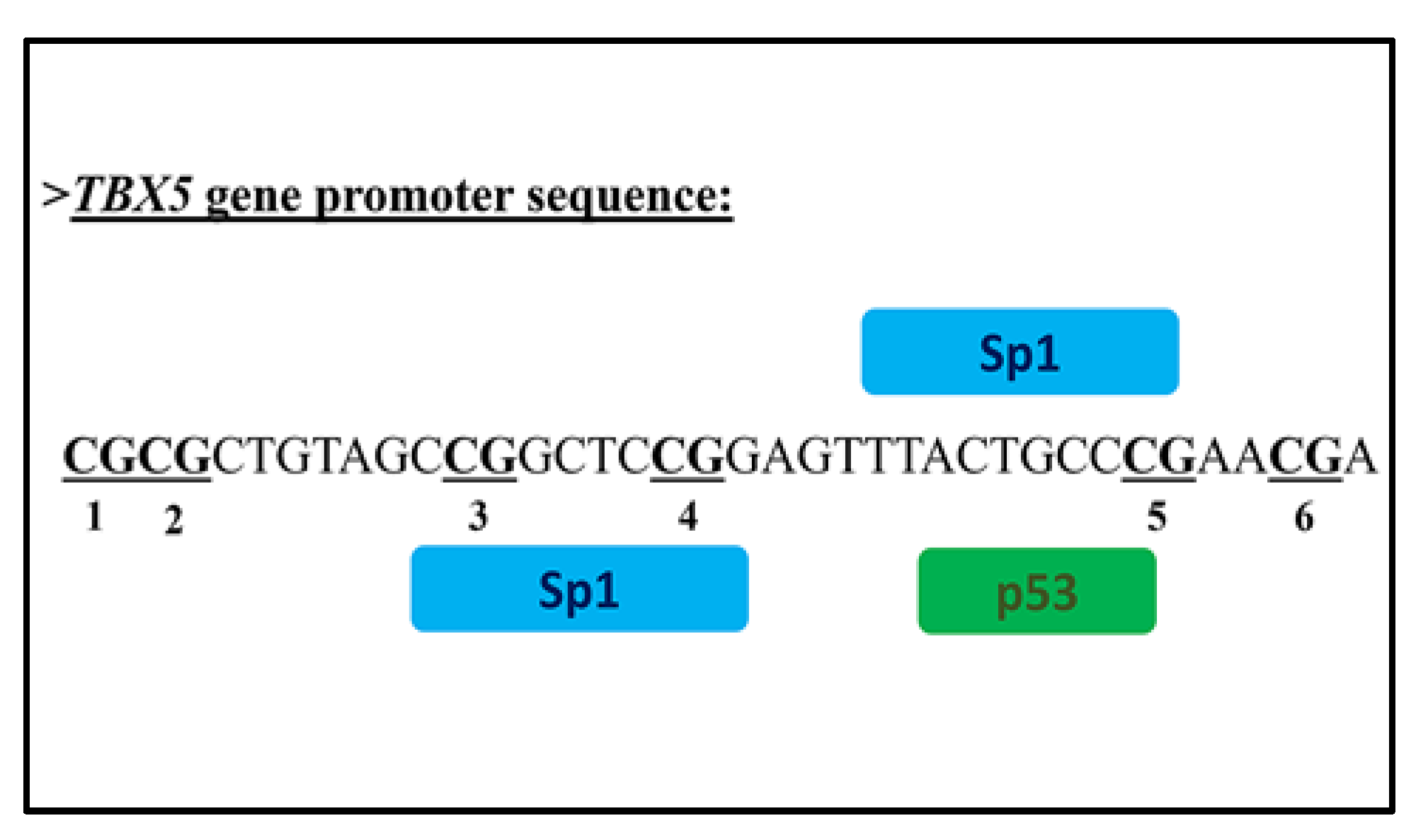 Biology 11 00096 g005 Biology 11 00096 g005