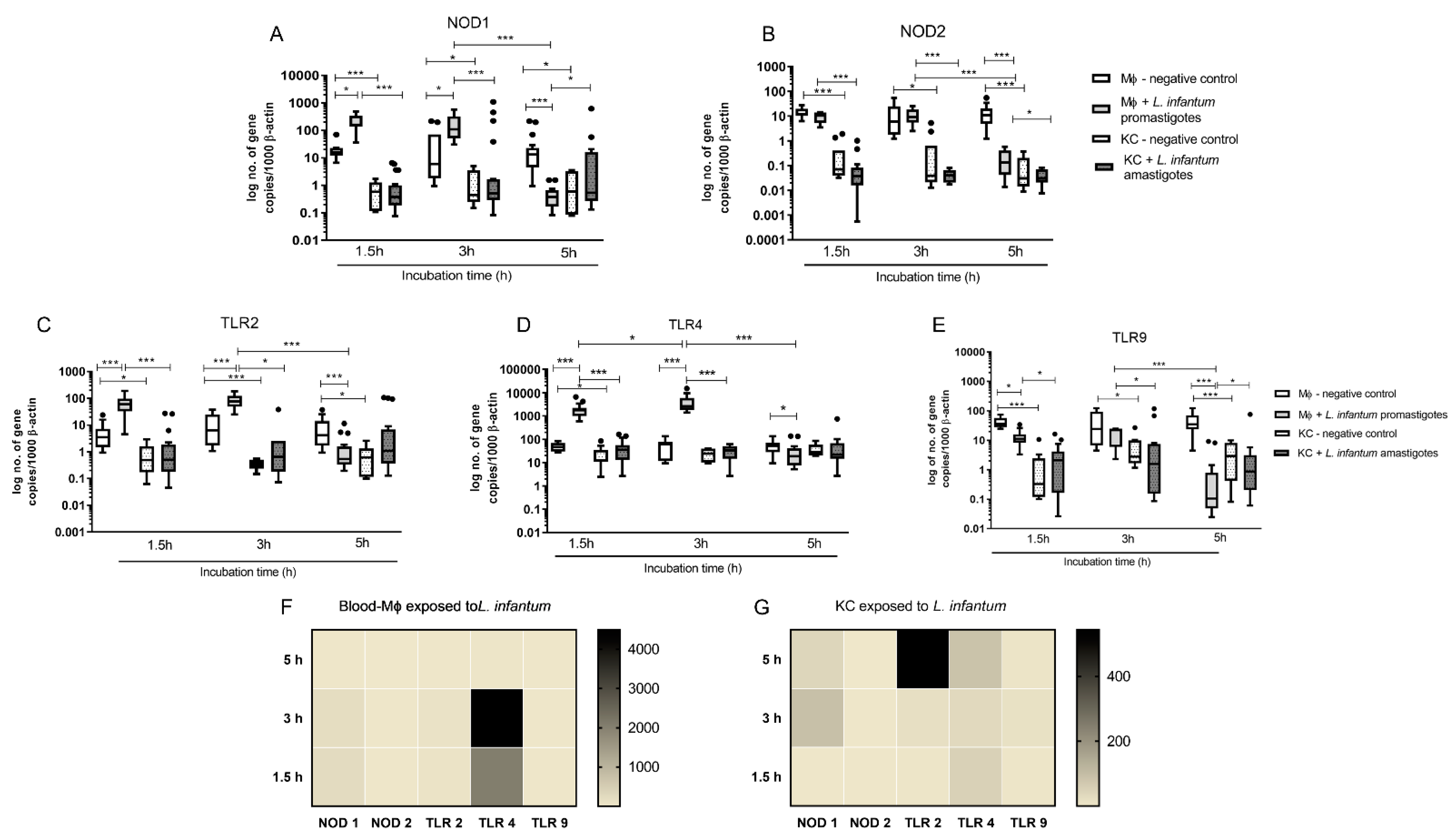 Biology 11 00100 g004 550