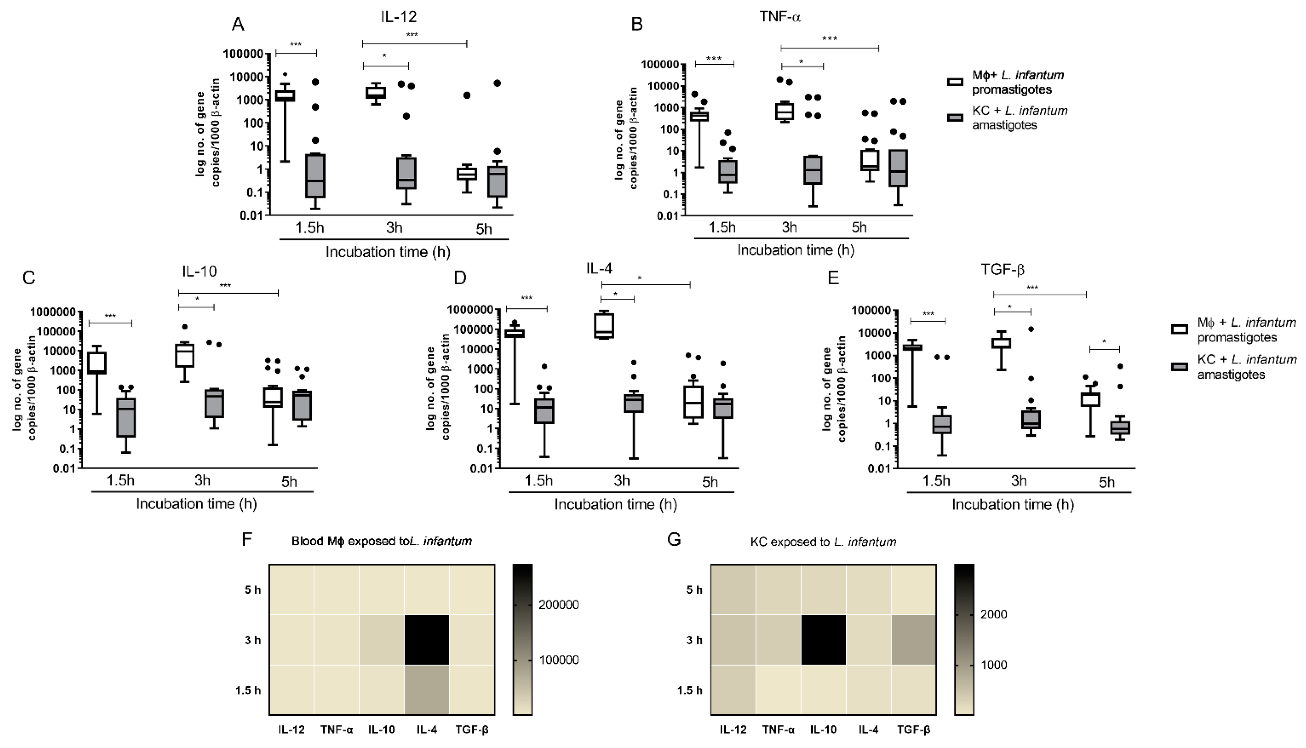 Biology 11 00100 g006 550