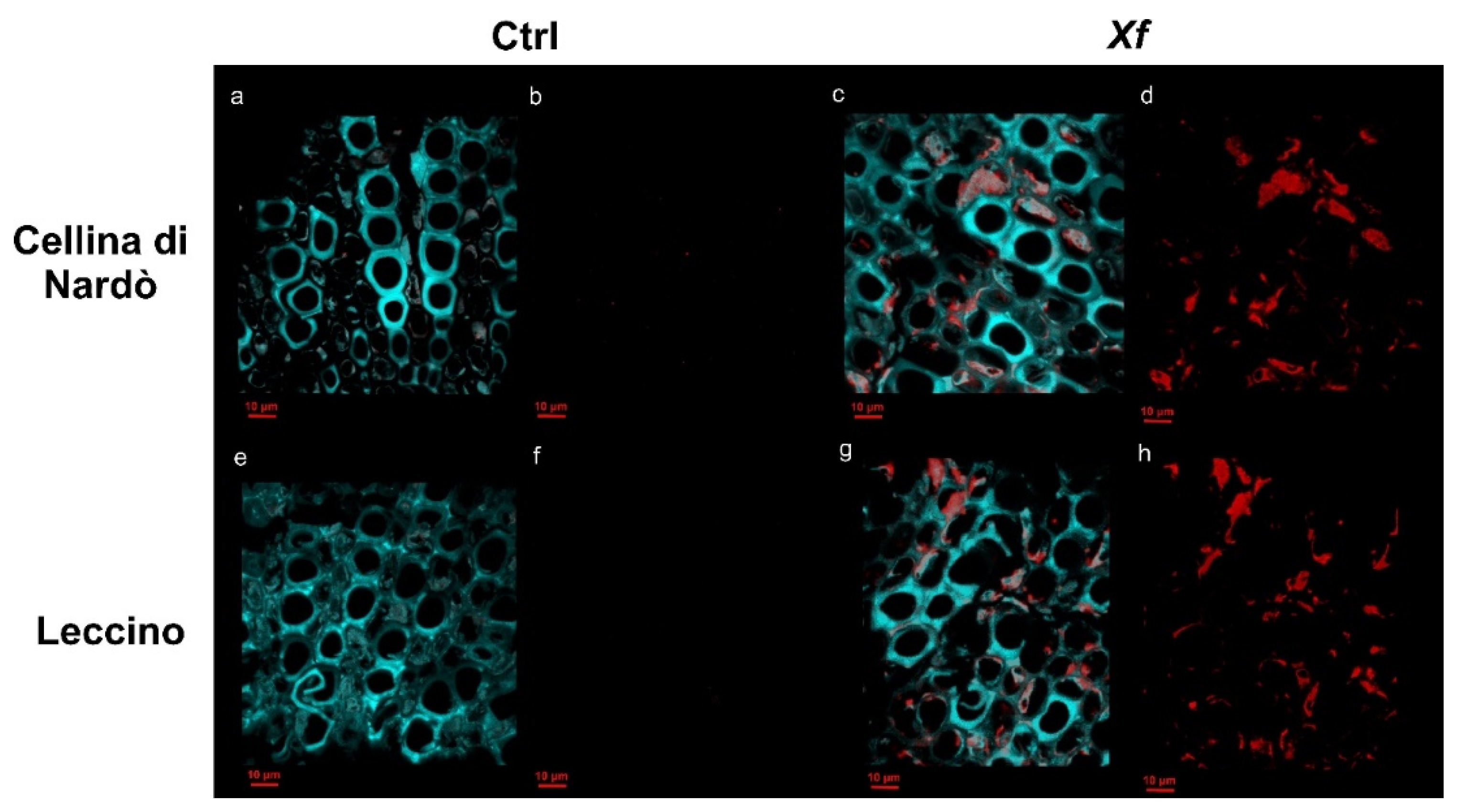 Biology 11 00112 g001
