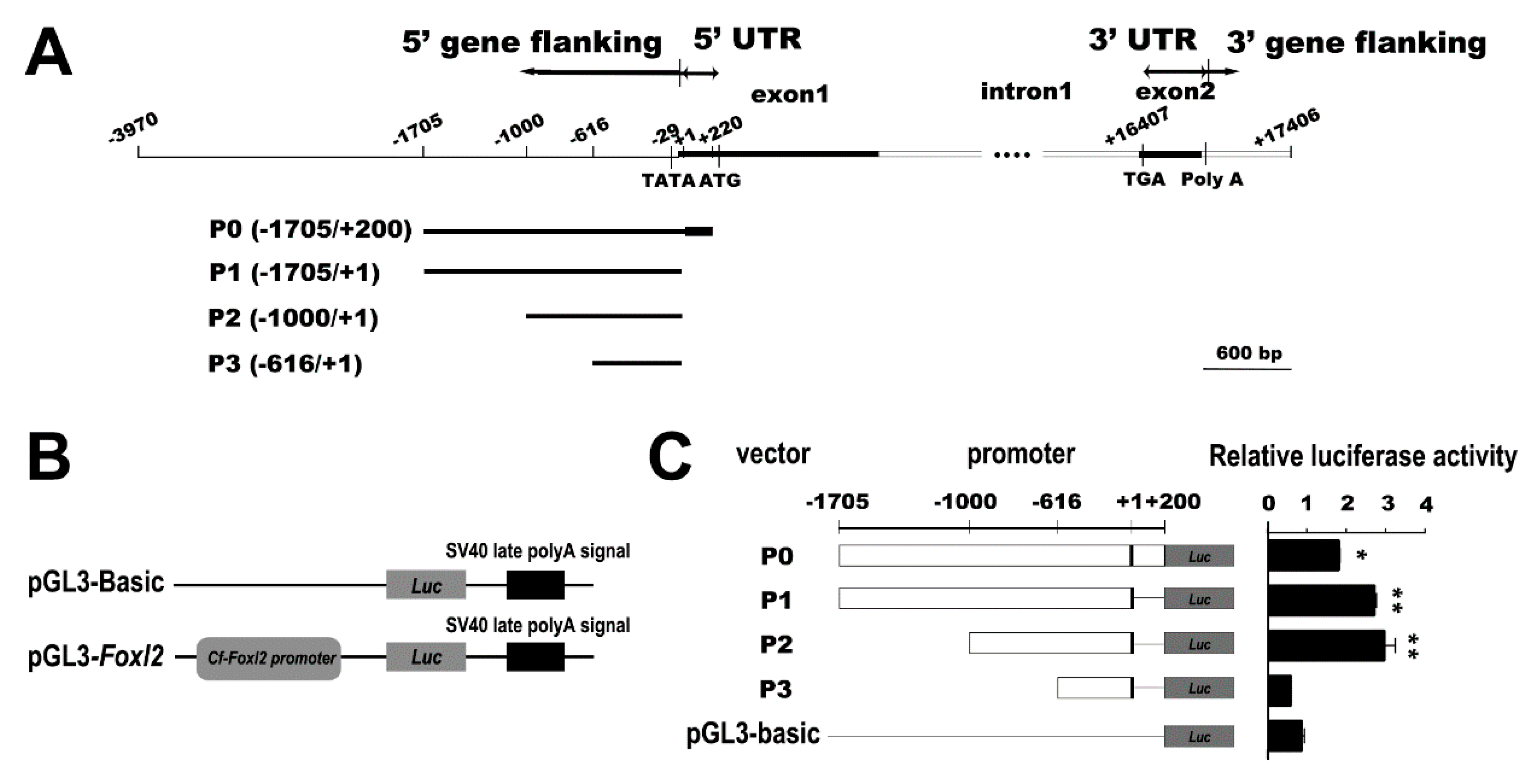 Biology 11 00113 g001 Biology 11 00113 g001