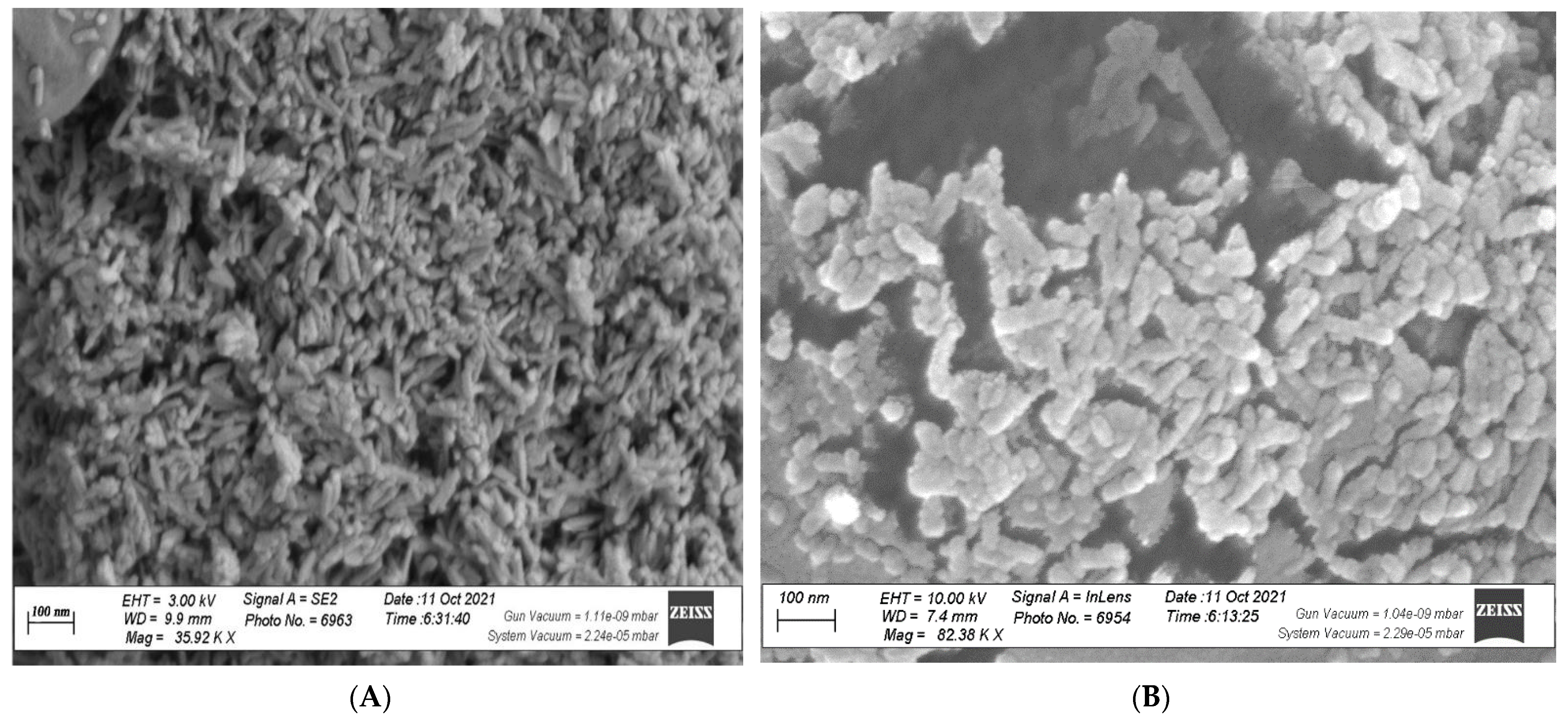 Biology 11 00115 g002 550