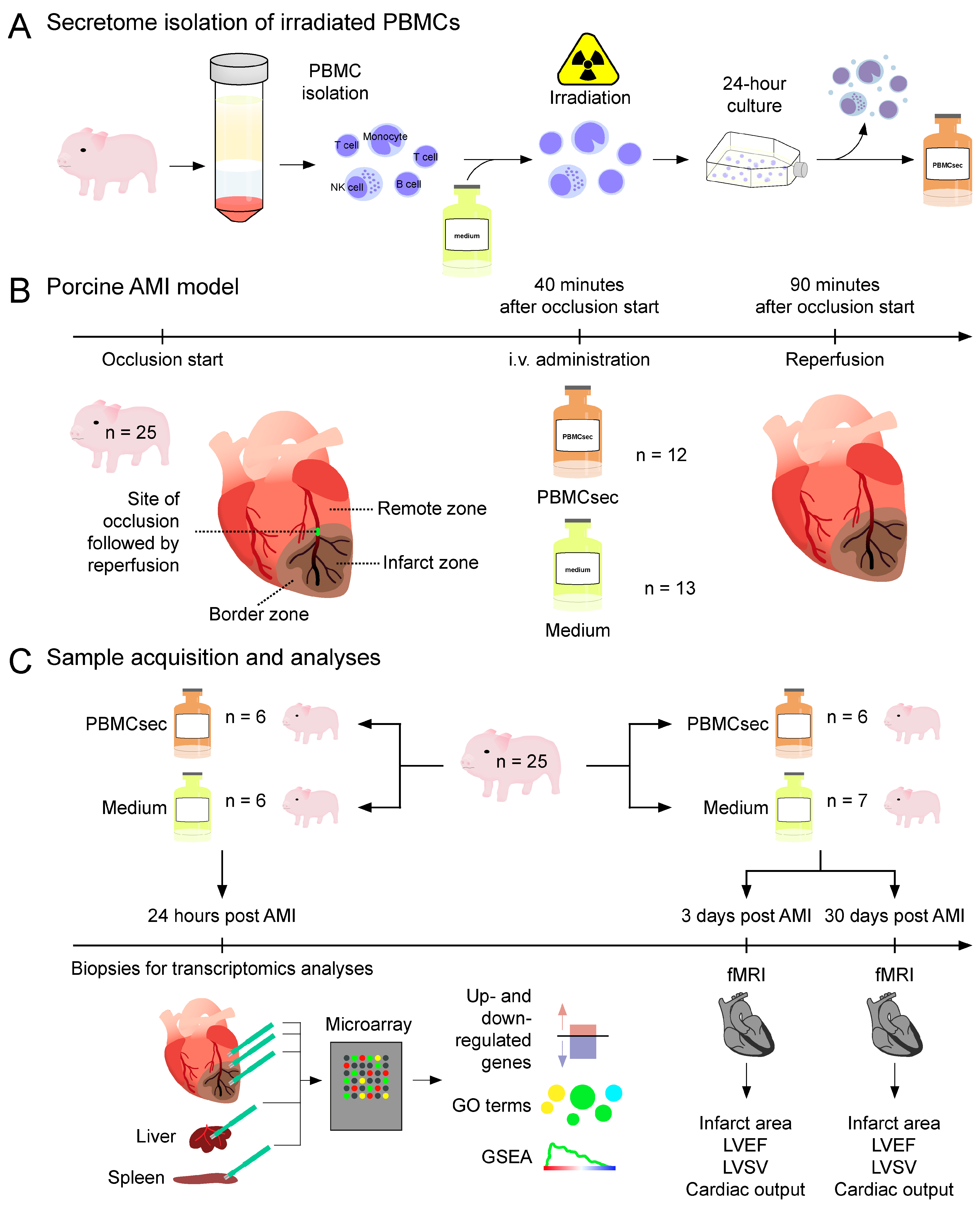 Biology 11 00116 g001
