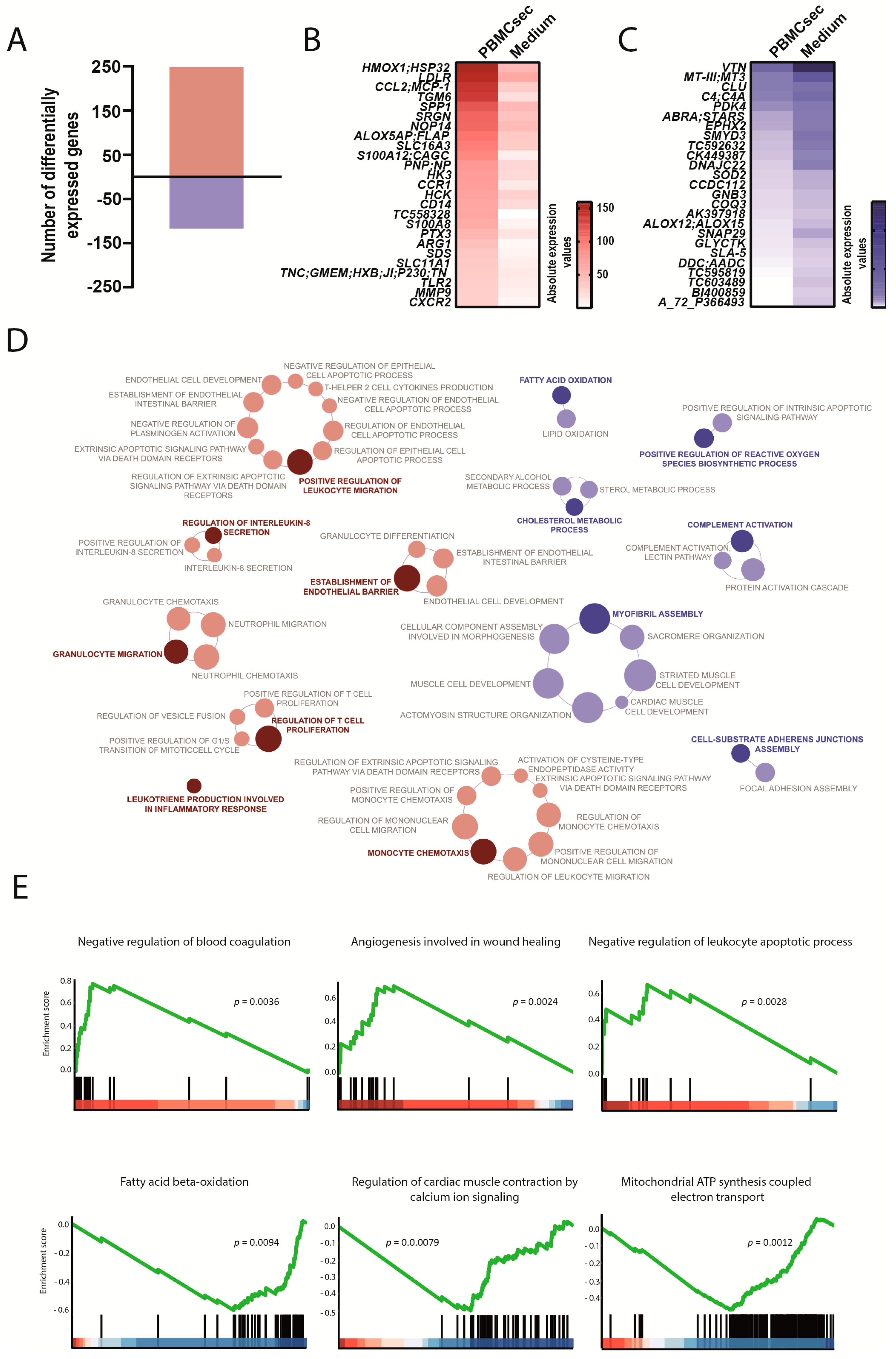 Biology 11 00116 g004