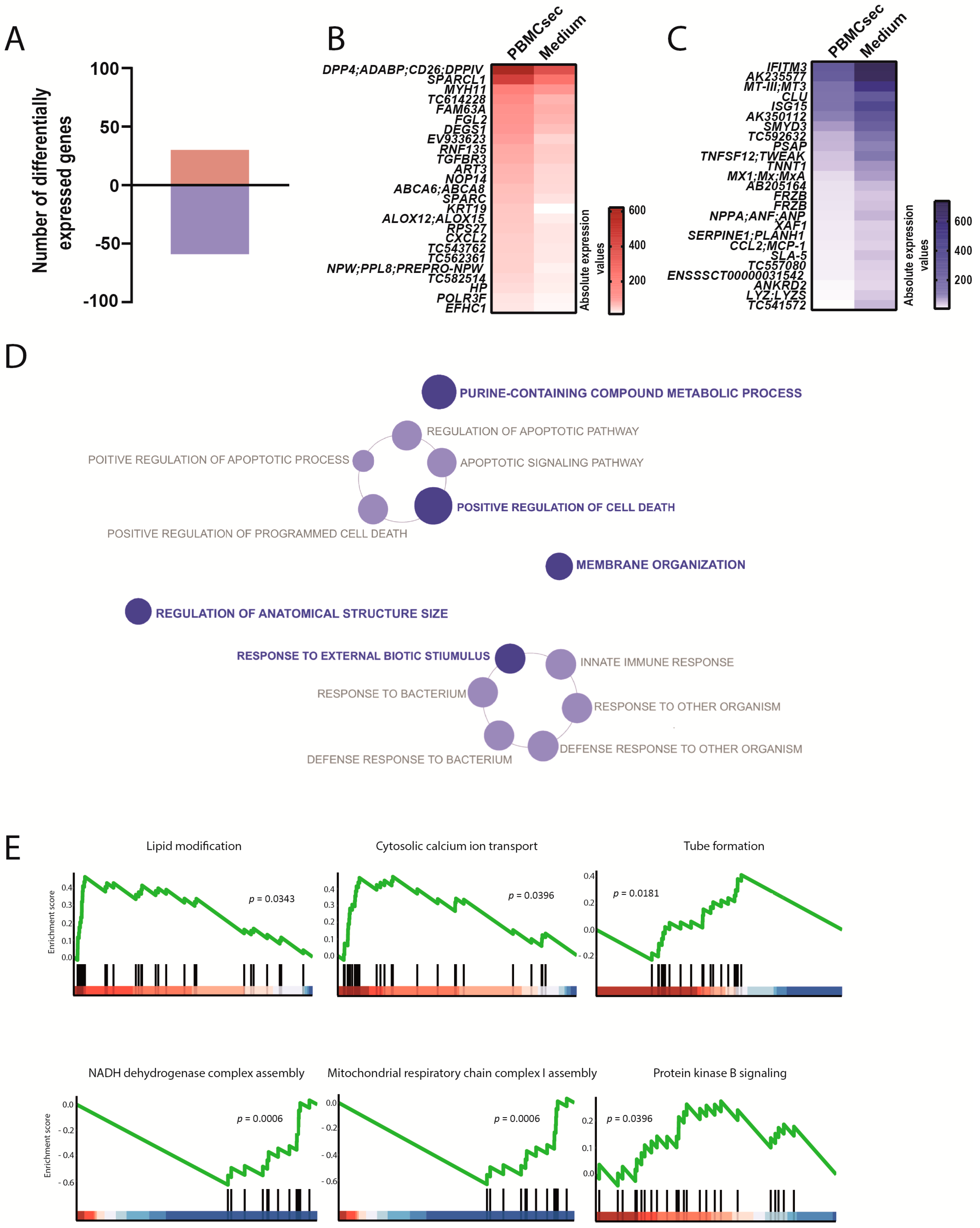 Biology 11 00116 g005