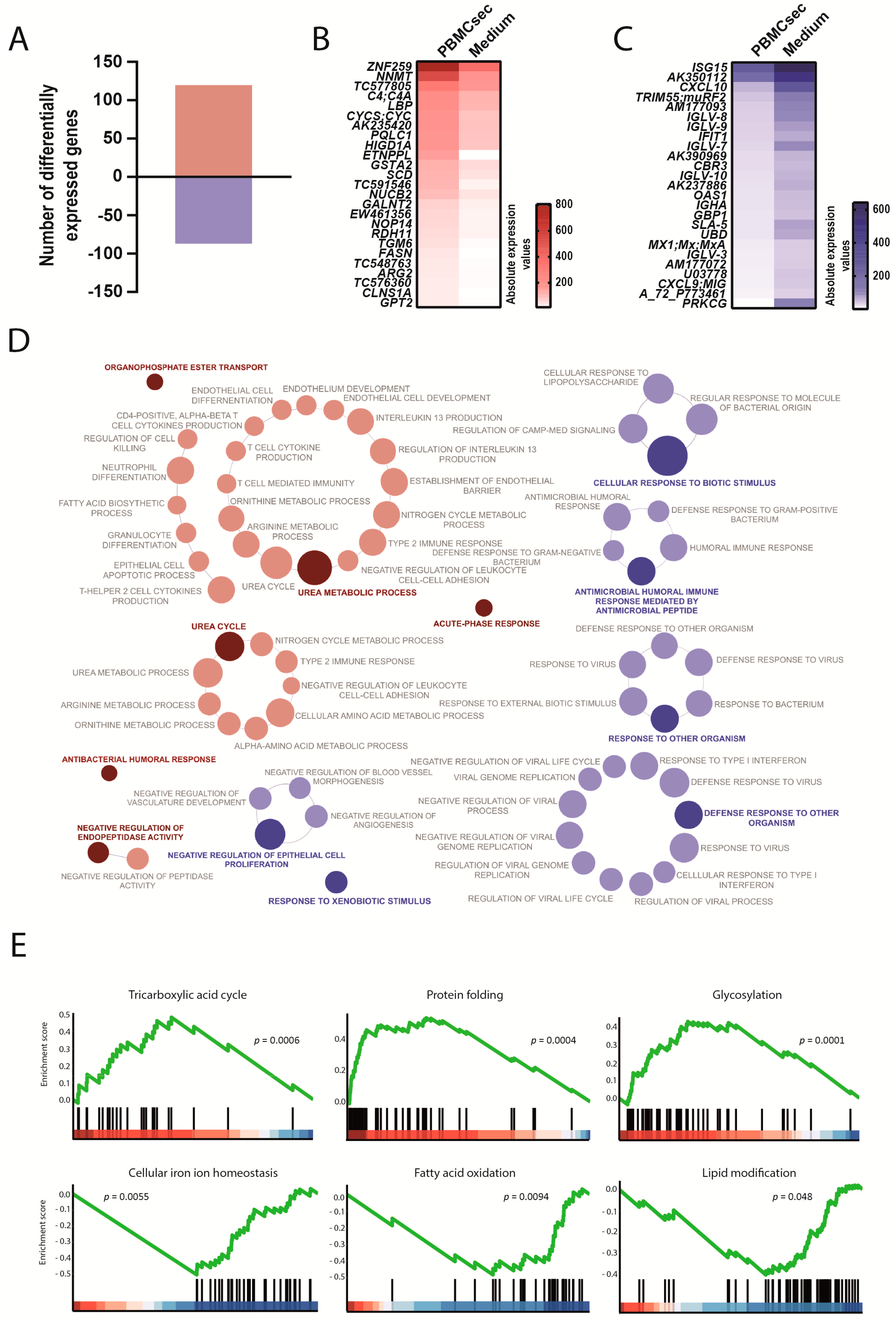 Biology 11 00116 g006