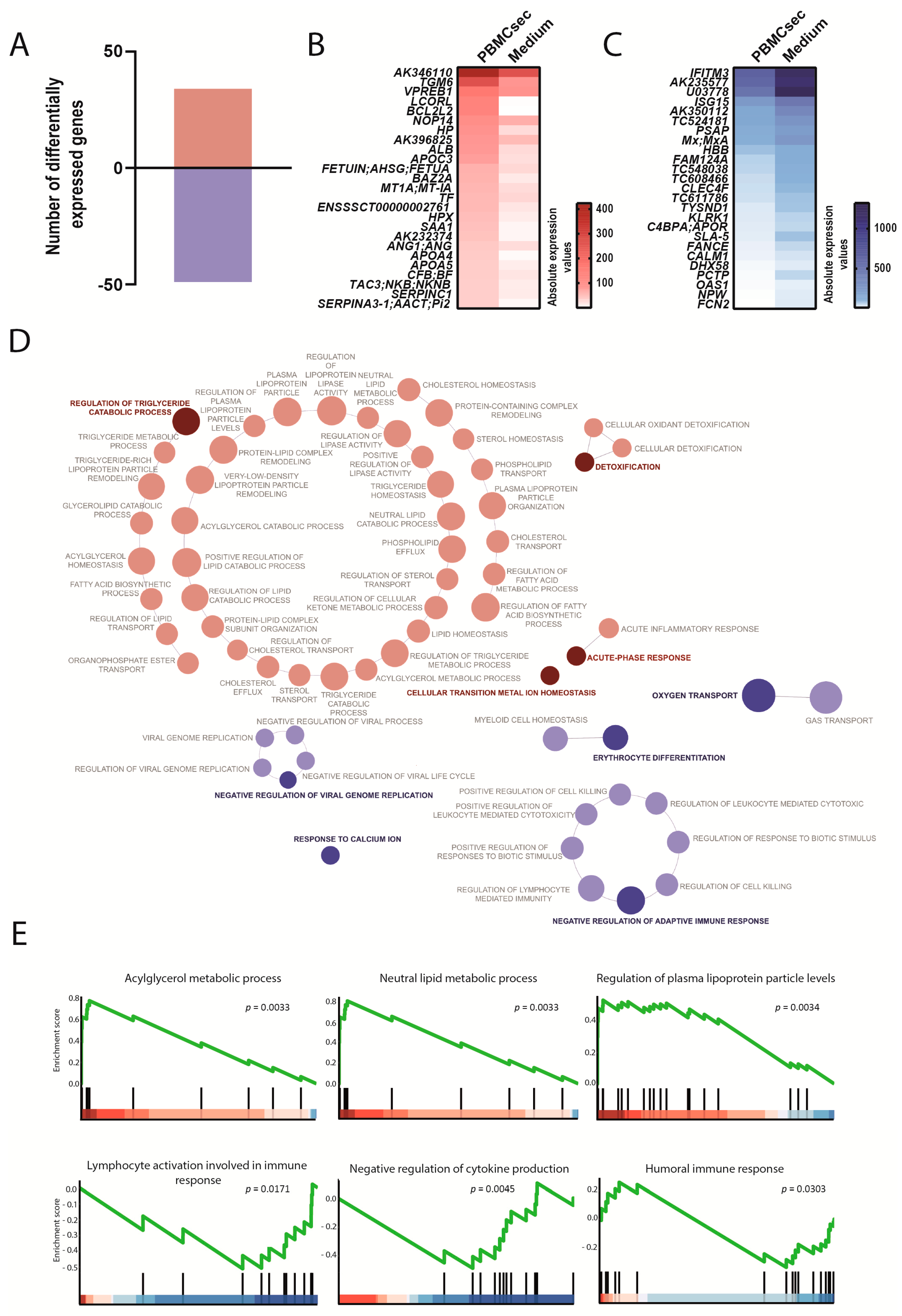Biology 11 00116 g007
