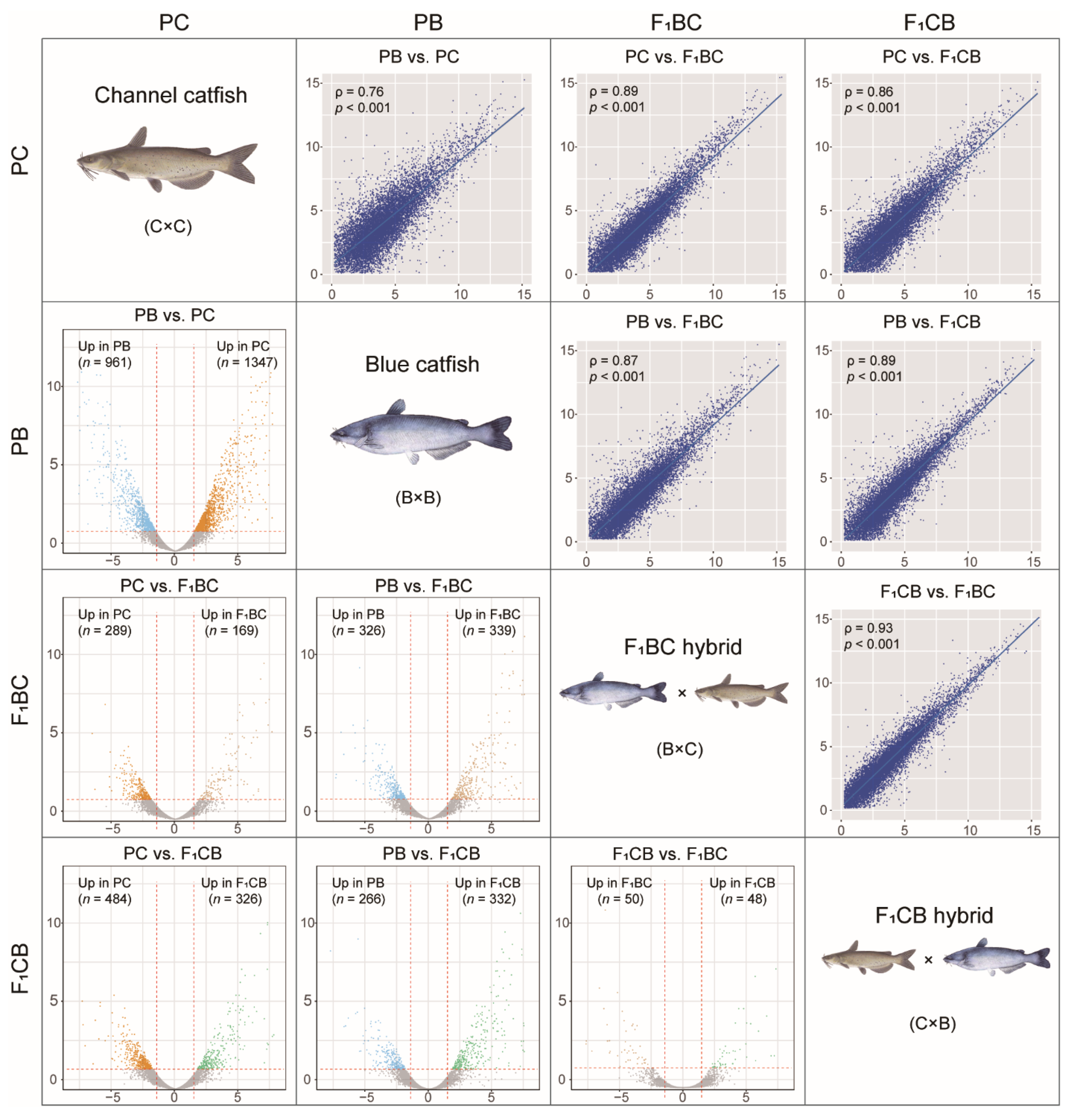 Biology 11 00117 g003