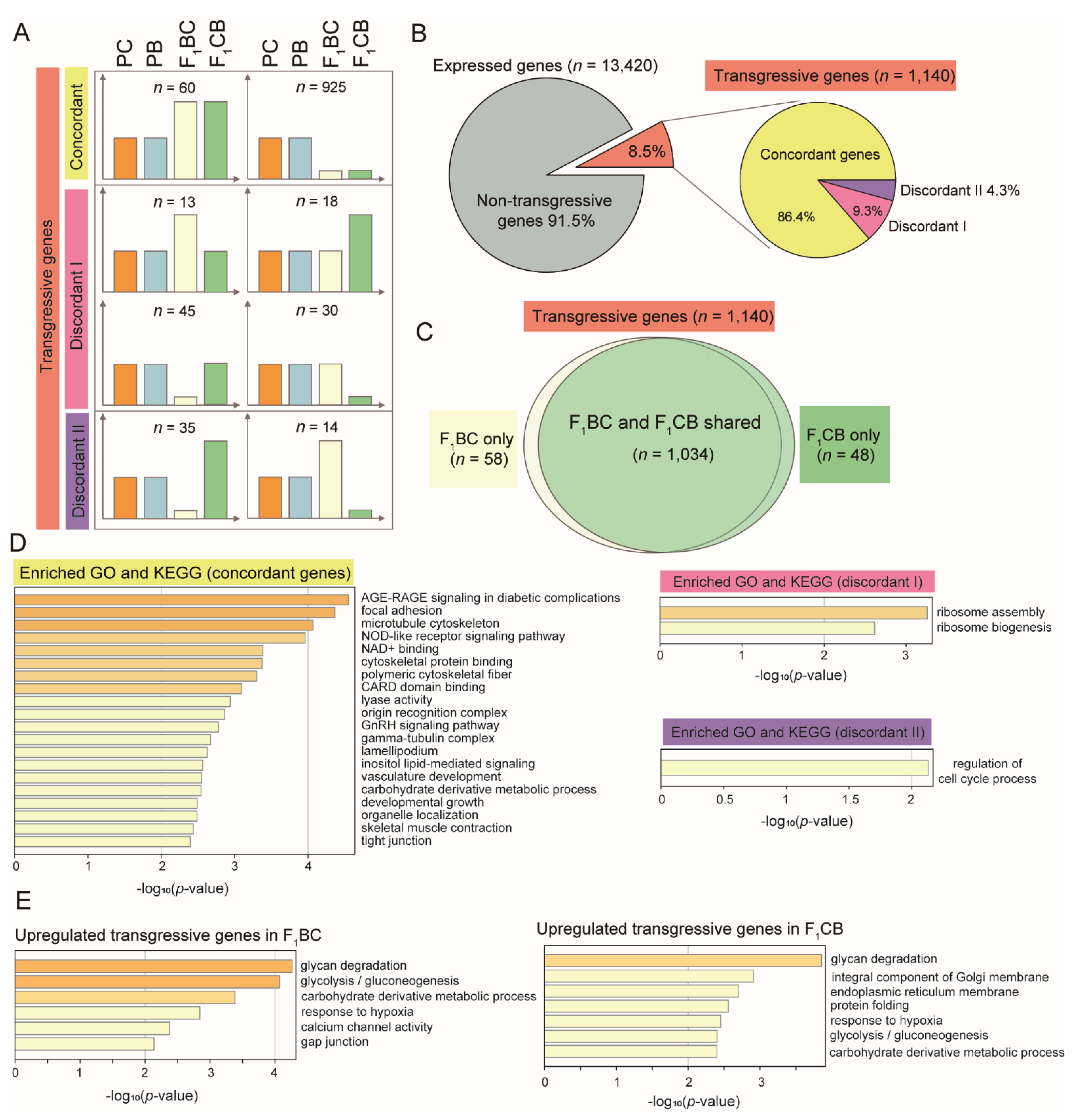 Biology 11 00117 g005