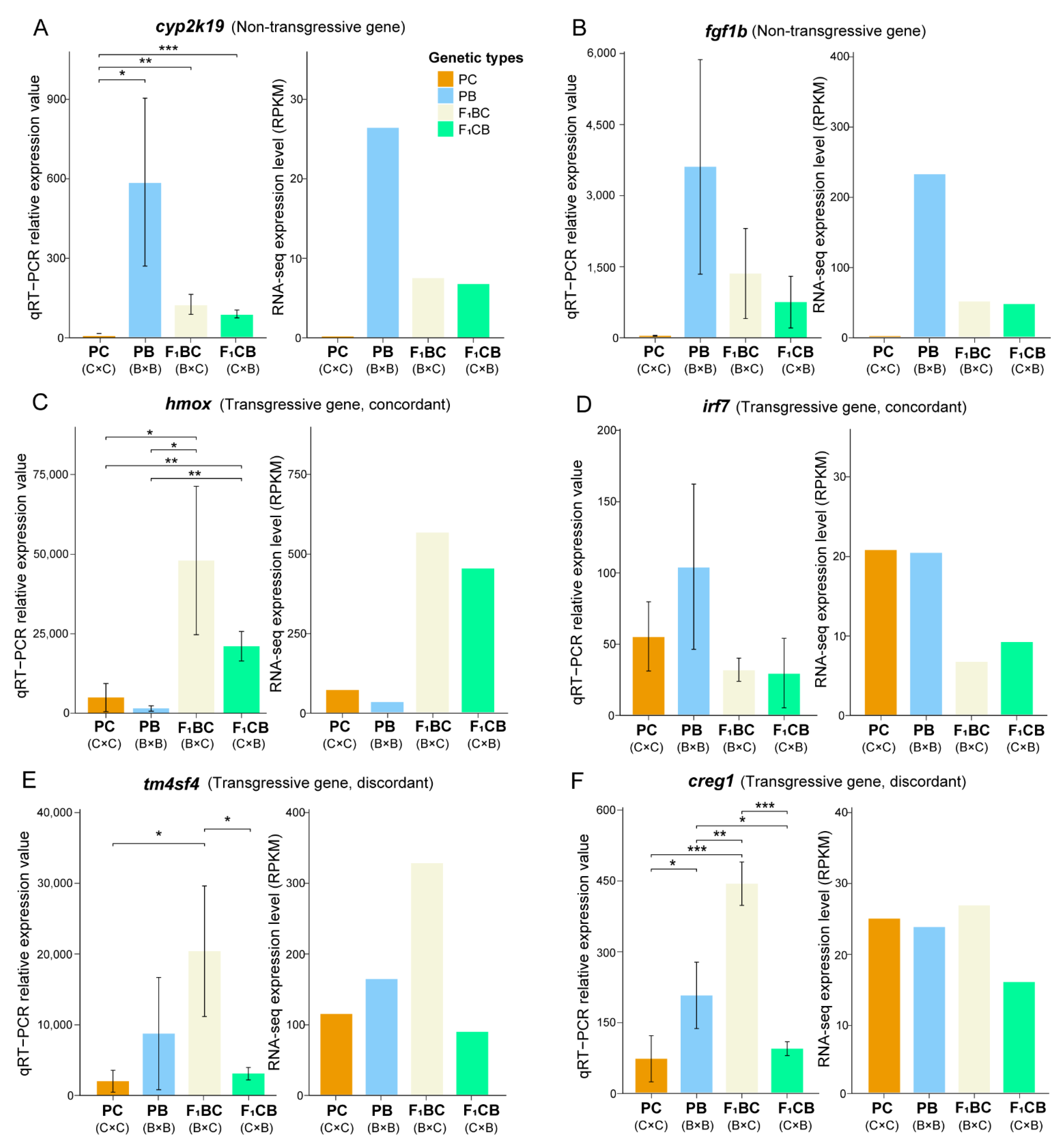 Biology 11 00117 g006