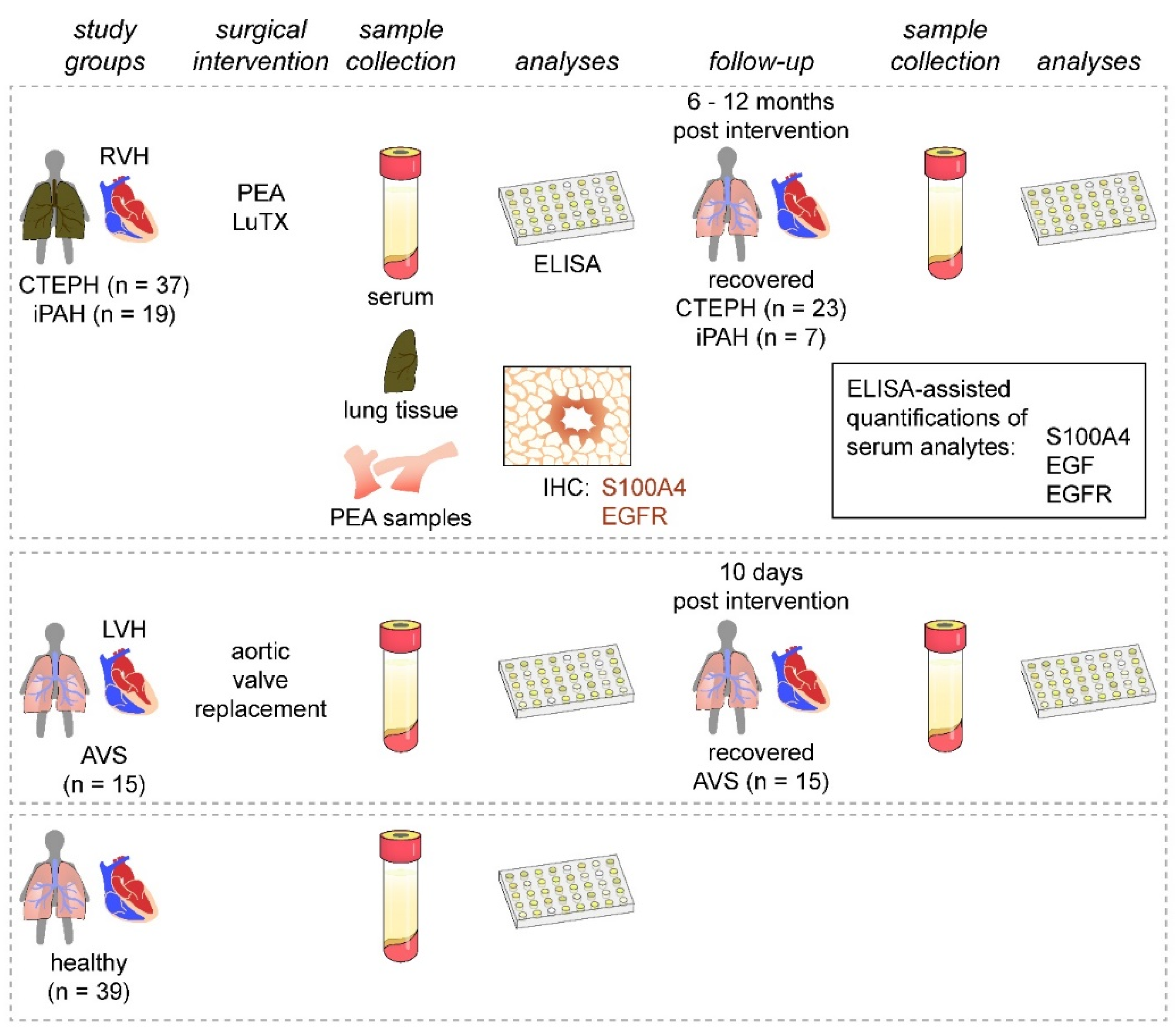 Biology 11 00118 g001 Biology 11 00118 g001