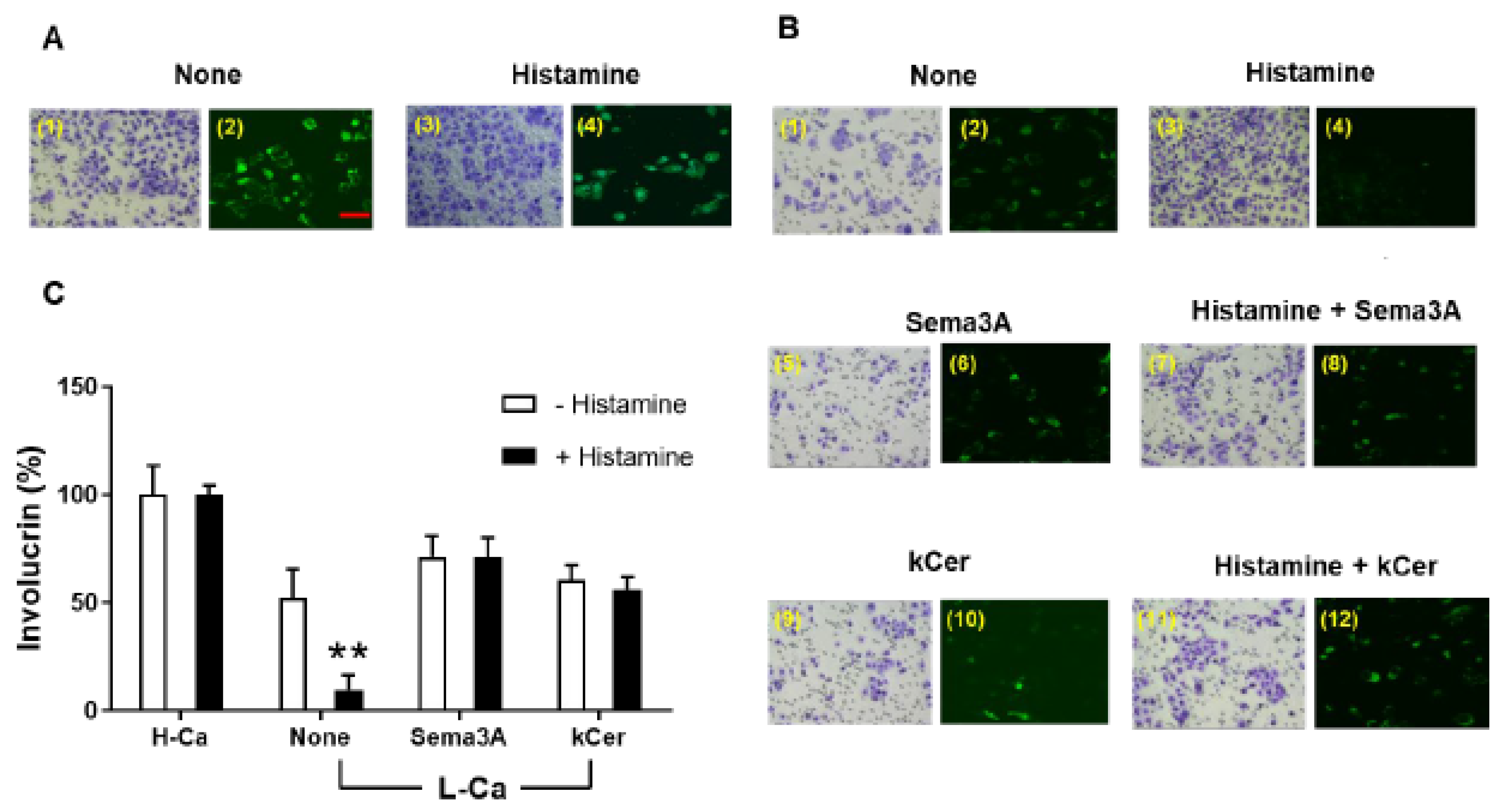 Biology 11 00121 g002