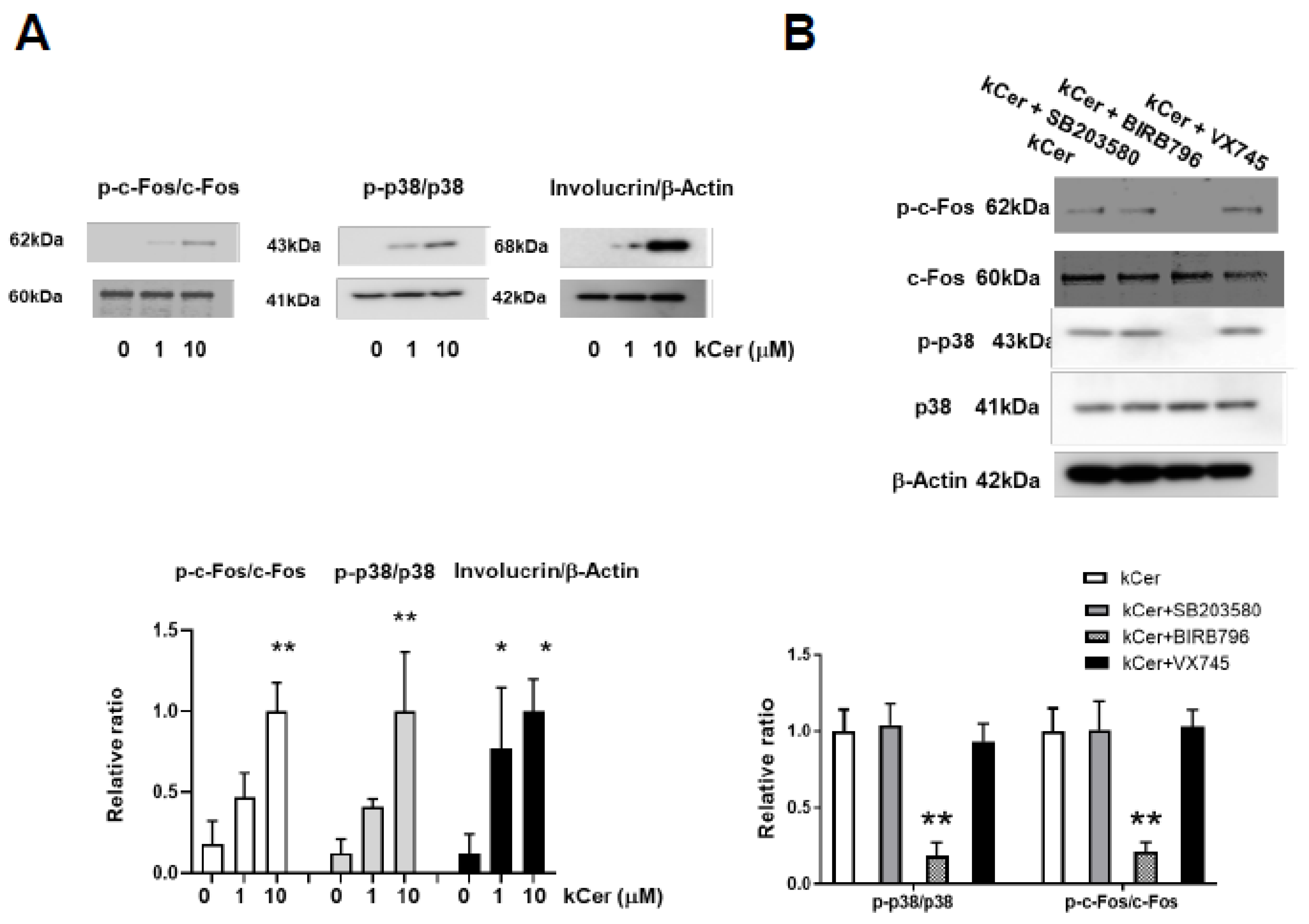 Biology 11 00121 g003