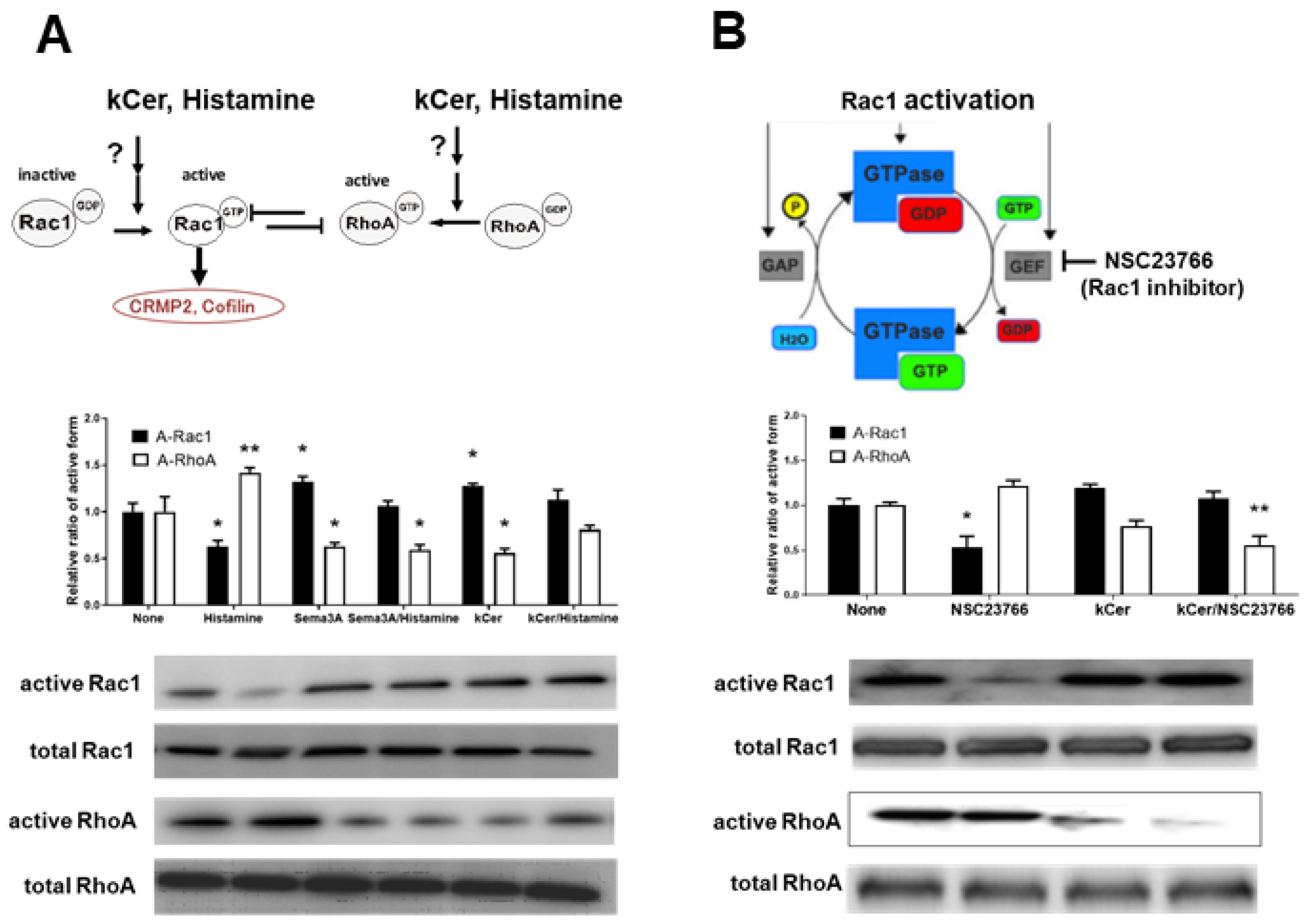 Biology 11 00121 g004