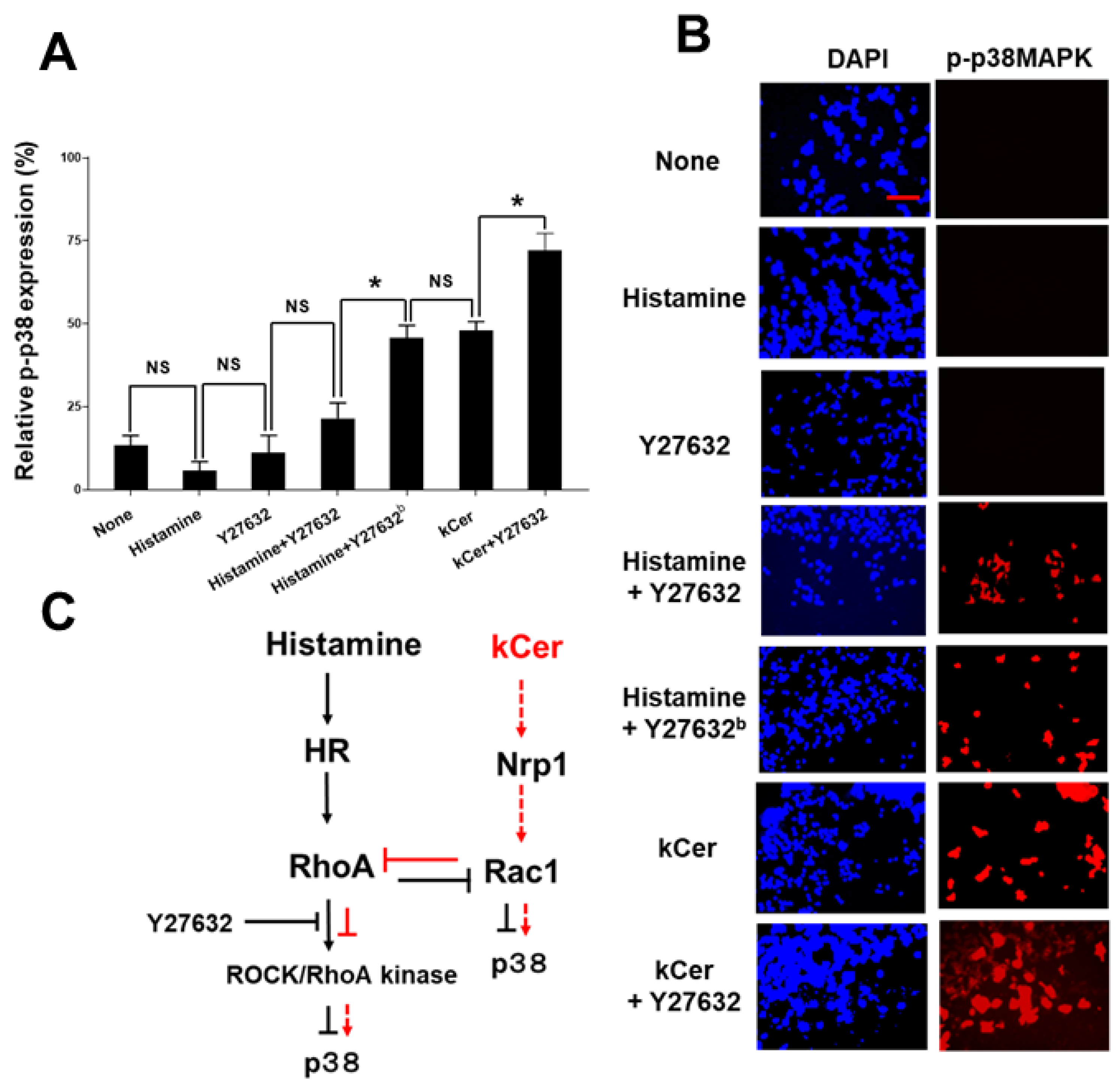Biology 11 00121 g005