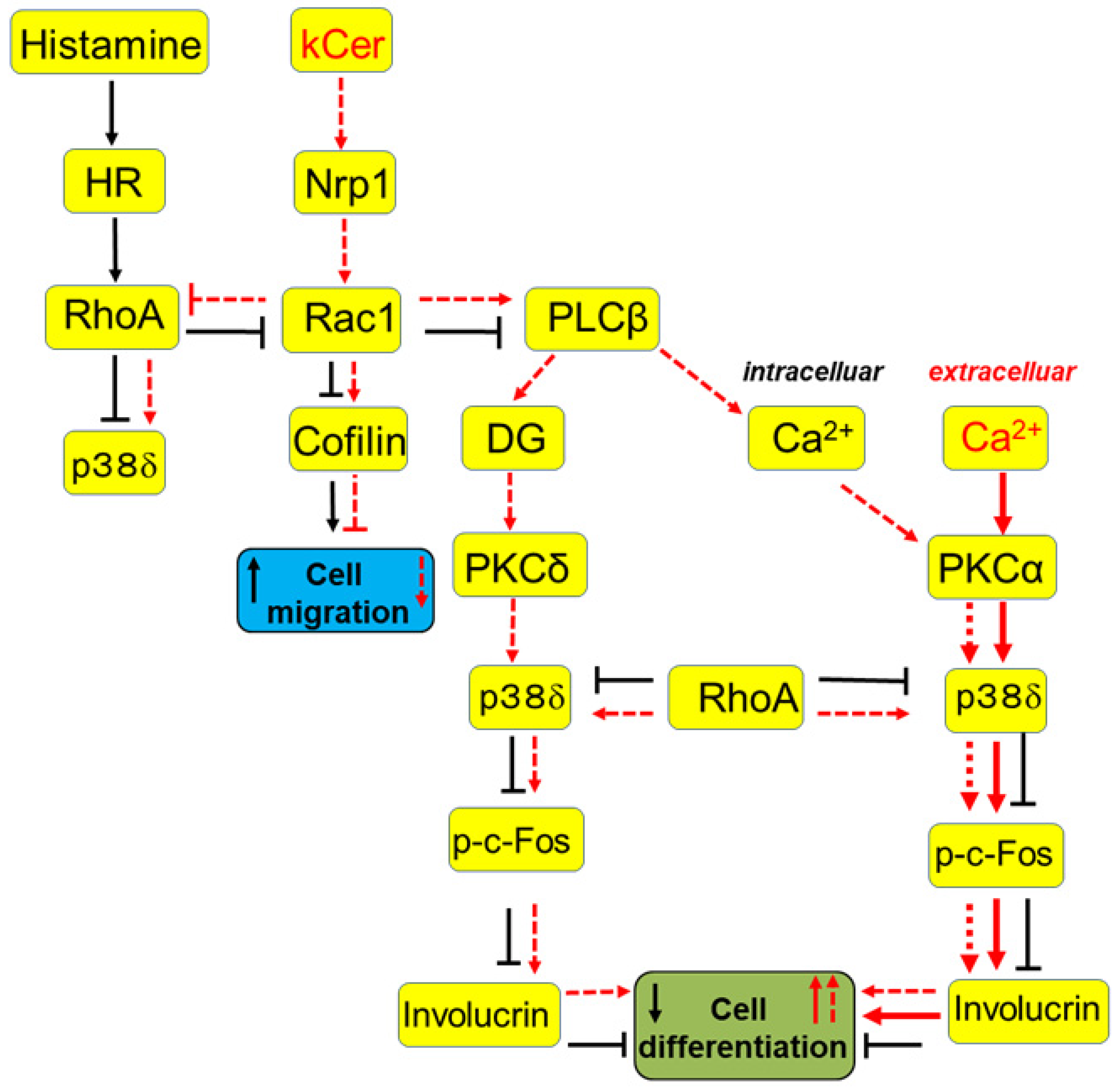 Biology 11 00121 g006