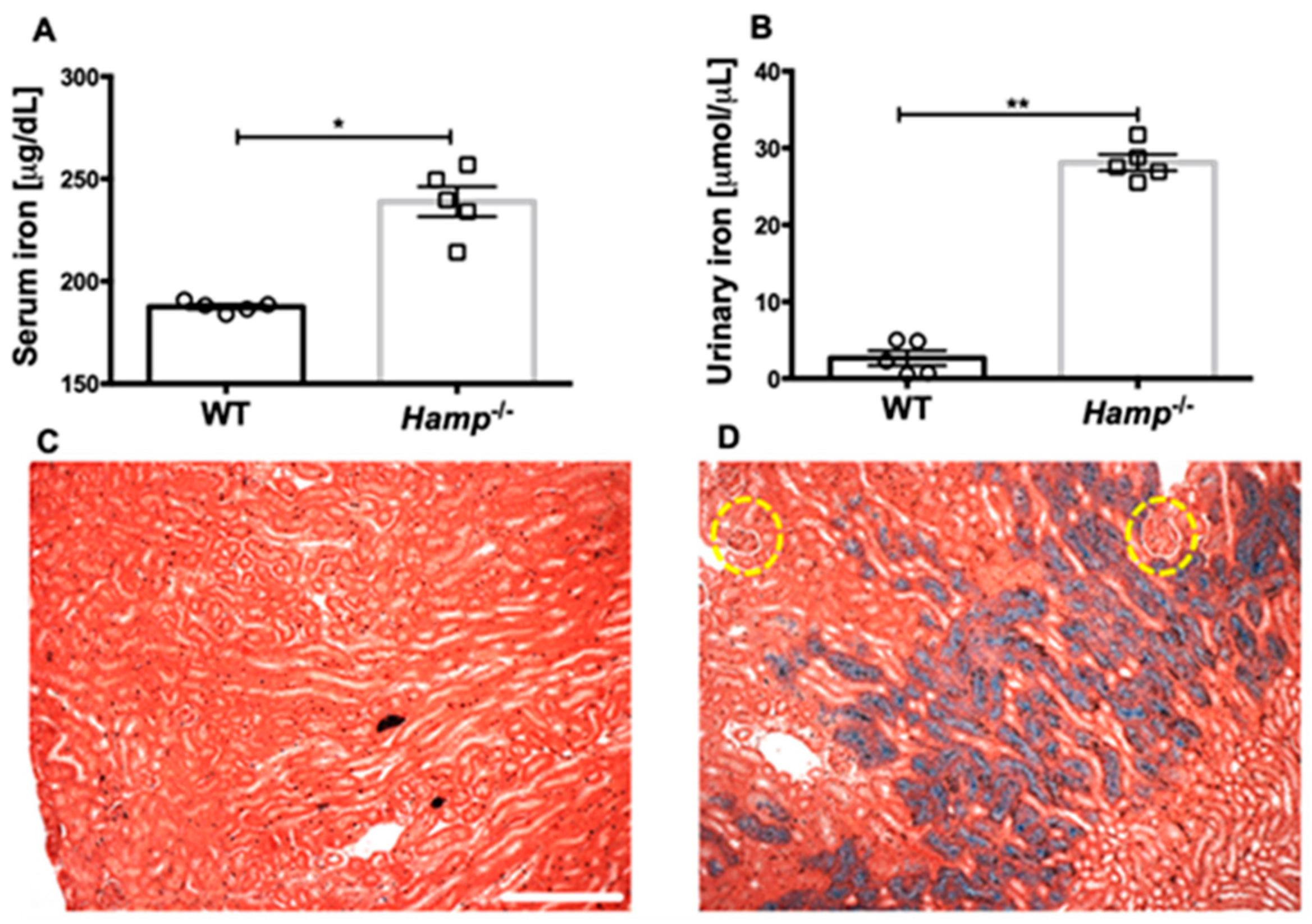 Biology 11 00123 g001 Biology 11 00123 g001